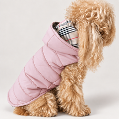Piumino Classico per Barboncino e Cani di Taglia Media-Piccola | Eleganza e funzionalità