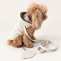 Piumino Classico per Barboncino e Cani di Taglia Media-Piccola | Eleganza e funzionalità