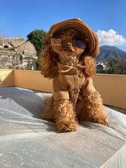 Camicia di Velluto | Eleganza e Confort per Barboncini