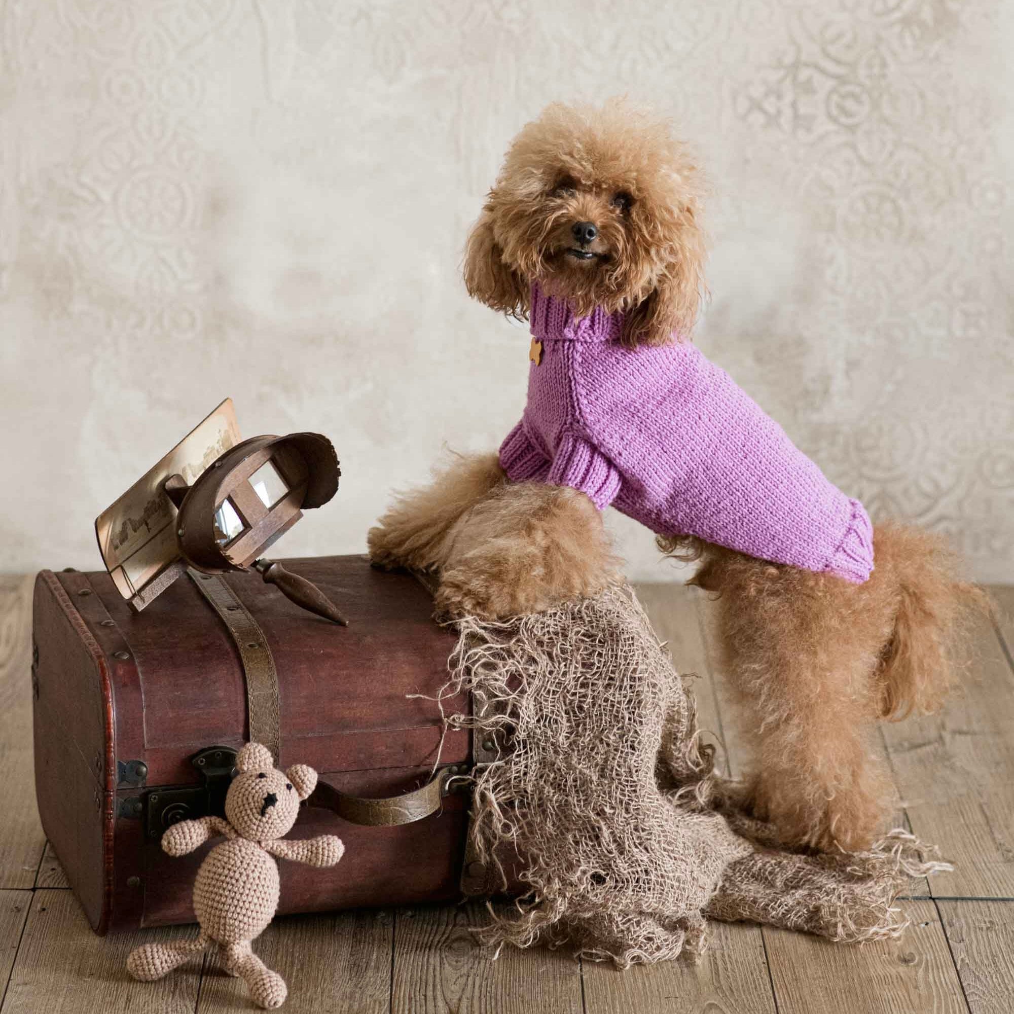 Maglioncino "Dafne" in vari colori - Fatto a Mano in Lana Merino - per cani di piccola taglia