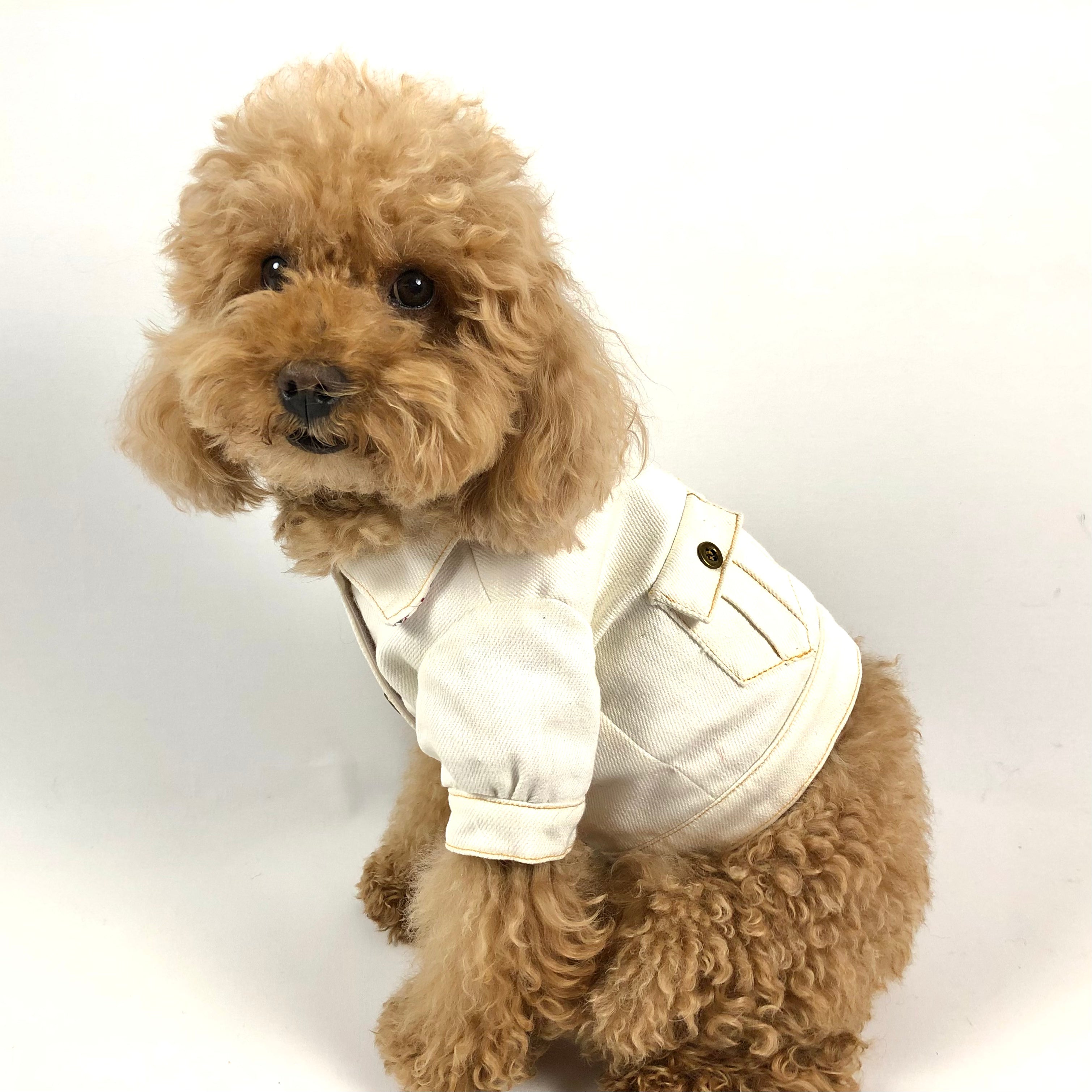 Giacca Di Jeans Per Cani Ducomi Fonzie - Gilet Denim Vintage Per Taglie Piccole - Foto 2