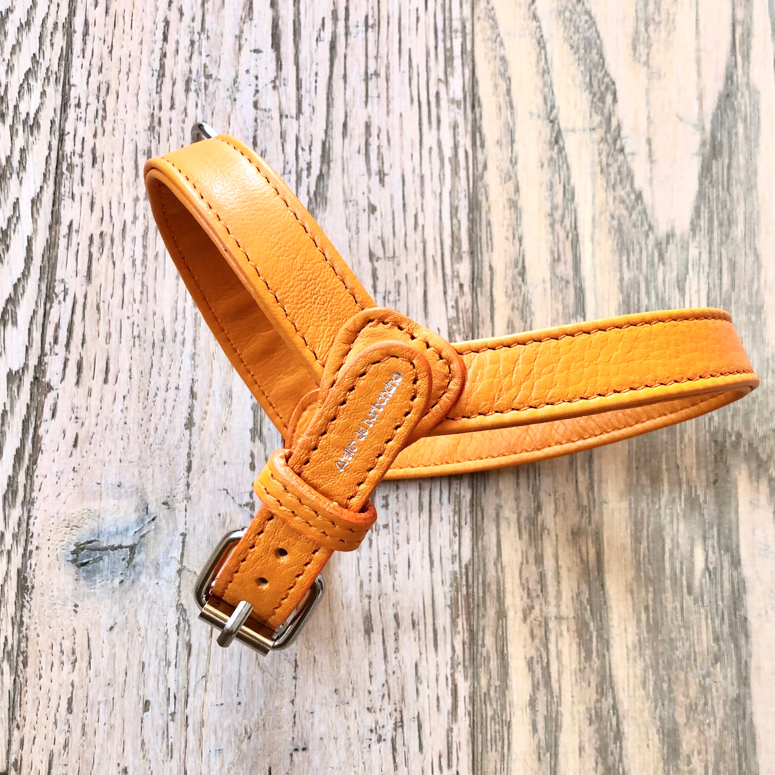 Camel leather harness