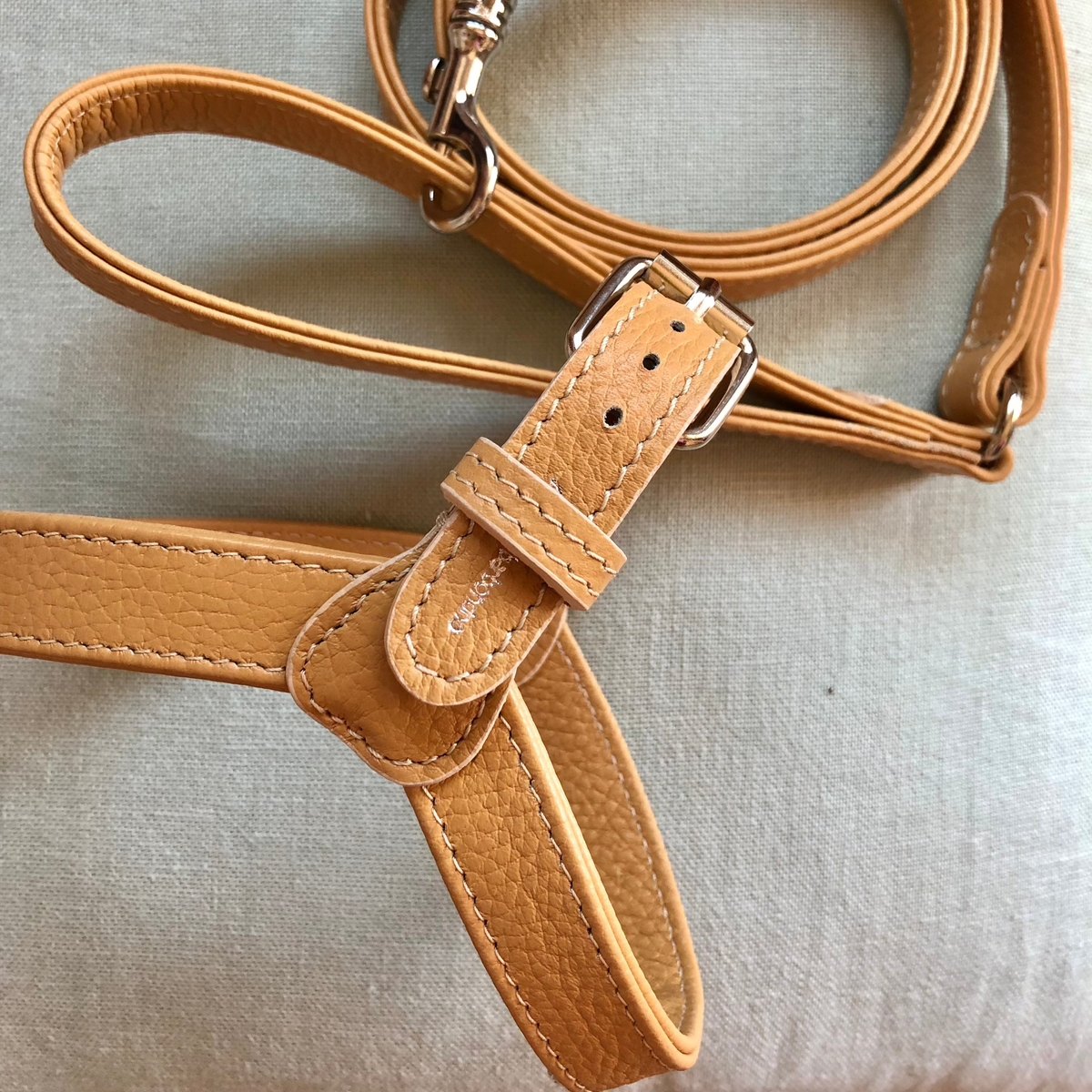 Camel leather harness