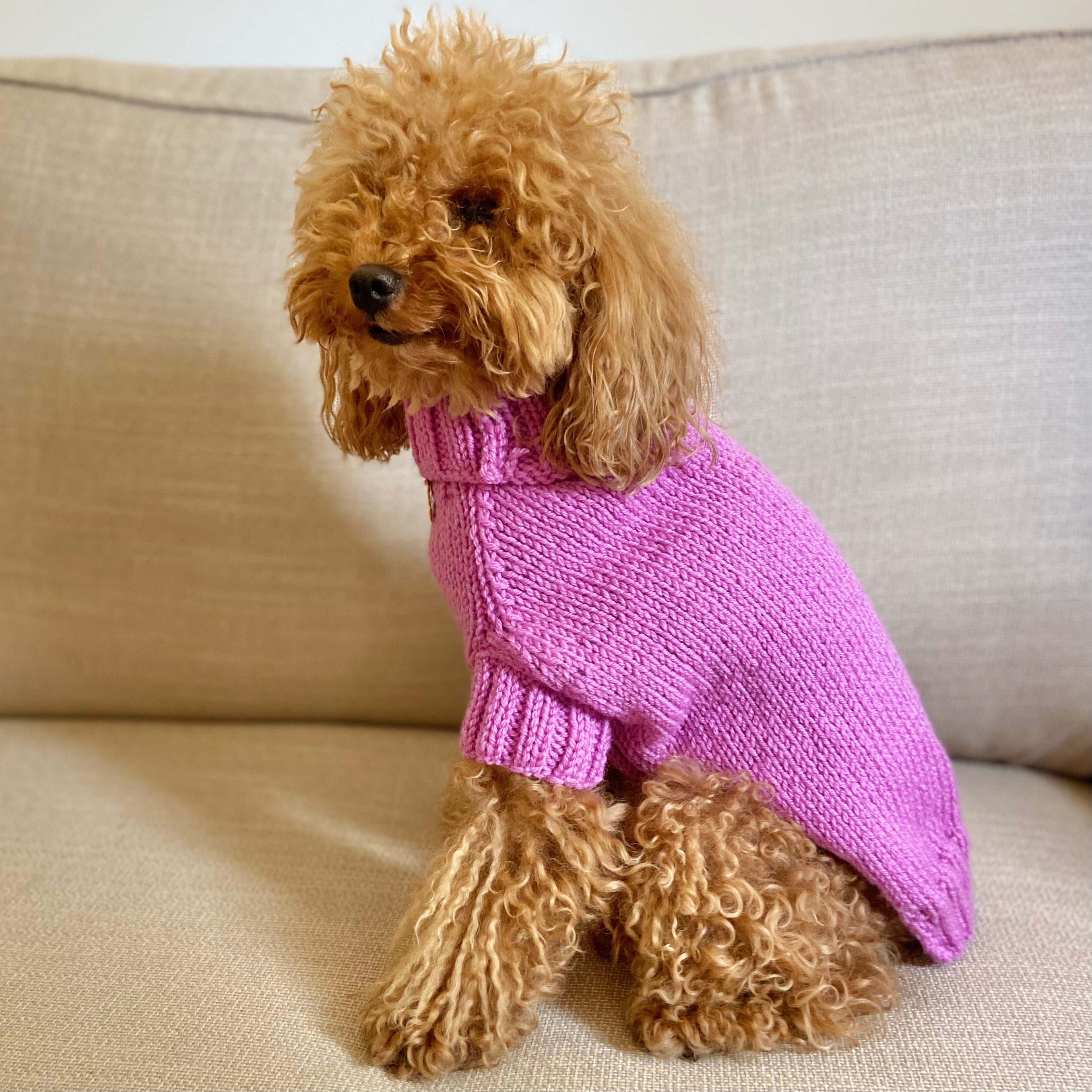 Maglioncino "Dafne" in vari colori - Fatto a Mano in Lana Merino - per cani di piccola taglia