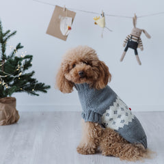 Maglioncino "Mr. Rudolph la Renna" | Fatto a Mano in Lana Merino per Cani di Taglia Medio-Piccola
