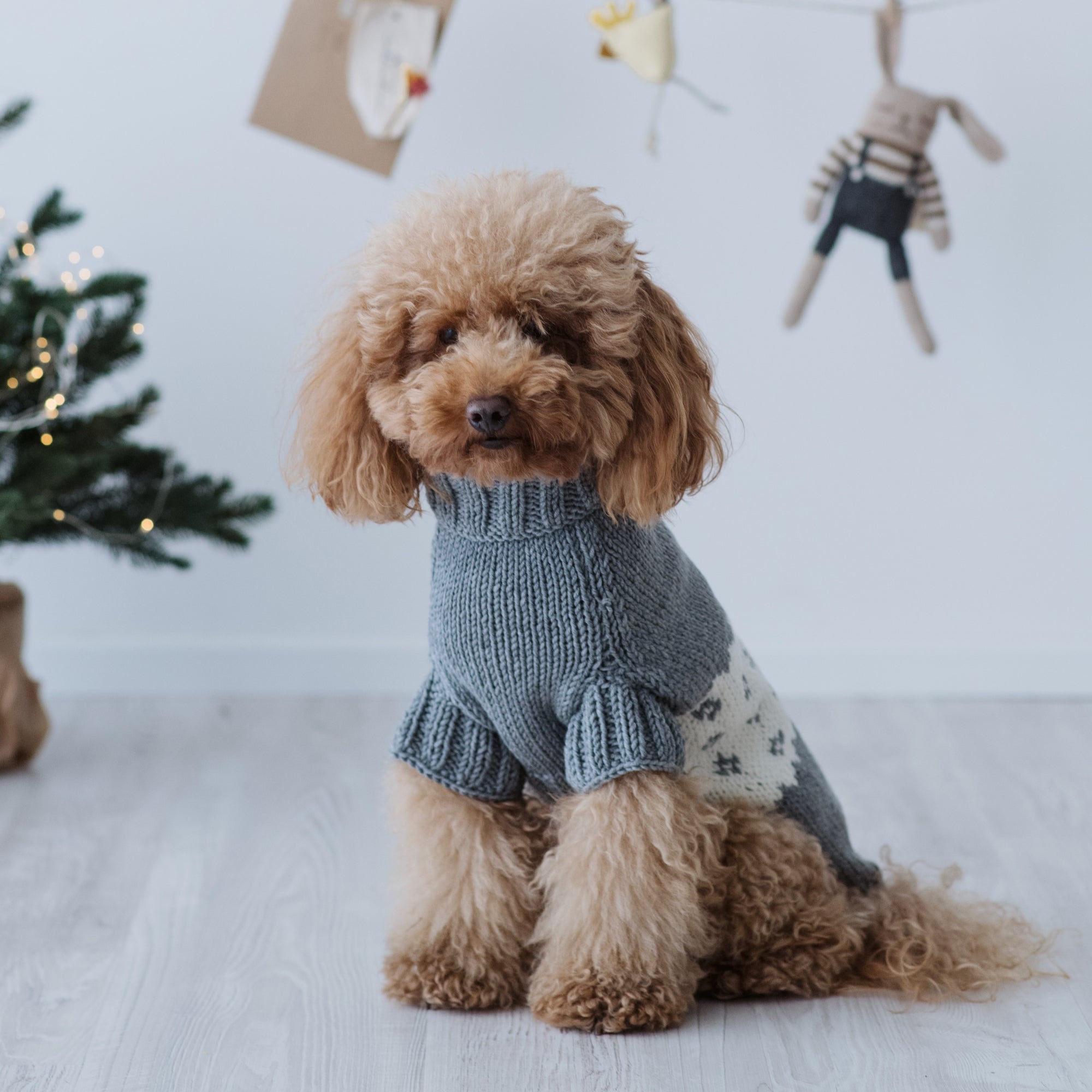 Maglioncino "Mr. Rudolph la Renna" | Fatto a Mano in Lana Merino per Cani di Taglia Medio-Piccola