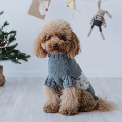 Maglioncino "Mr. Rudolph la Renna" | Fatto a Mano in Lana Merino per Cani di Taglia Medio-Piccola