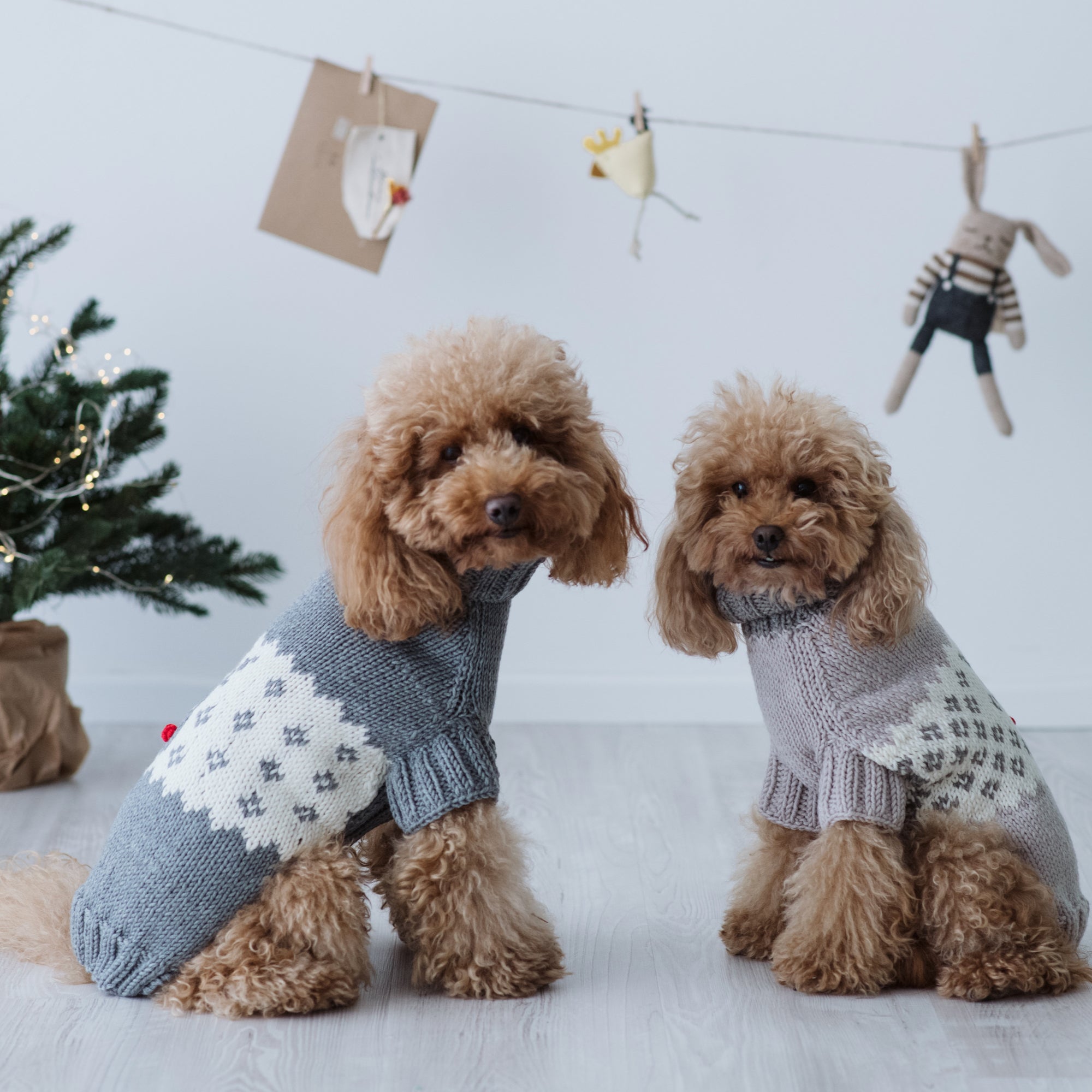 Maglioncino "Mr. Rudolph la Renna" | Fatto a Mano in Lana Merino per Cani di Taglia Medio-Piccola