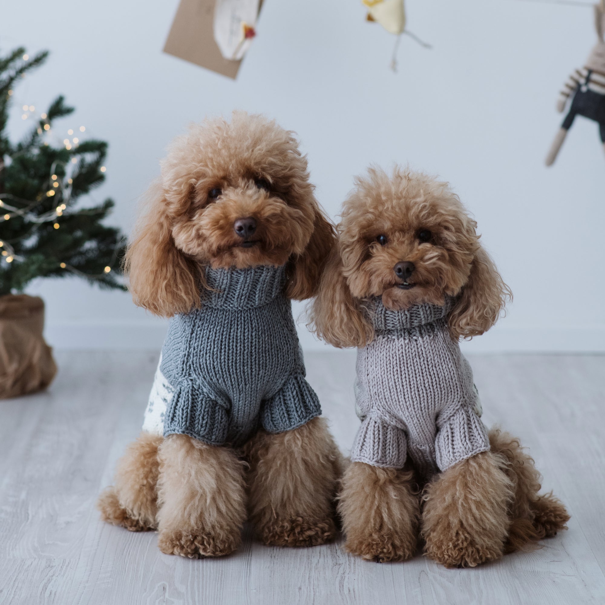 Maglioncino "Mr. Rudolph la Renna" | Fatto a Mano in Lana Merino per Cani di Taglia Medio-Piccola