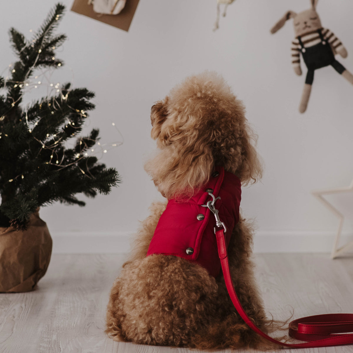 Down bib - various colors