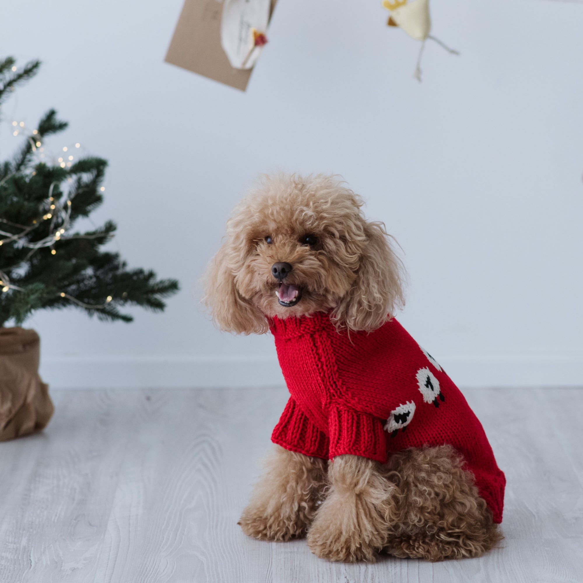 Maglioncino "Pecorelle" Rosso | Eccellenza Artigianale in Lana Merino per Cani di Taglia Medio-Piccola