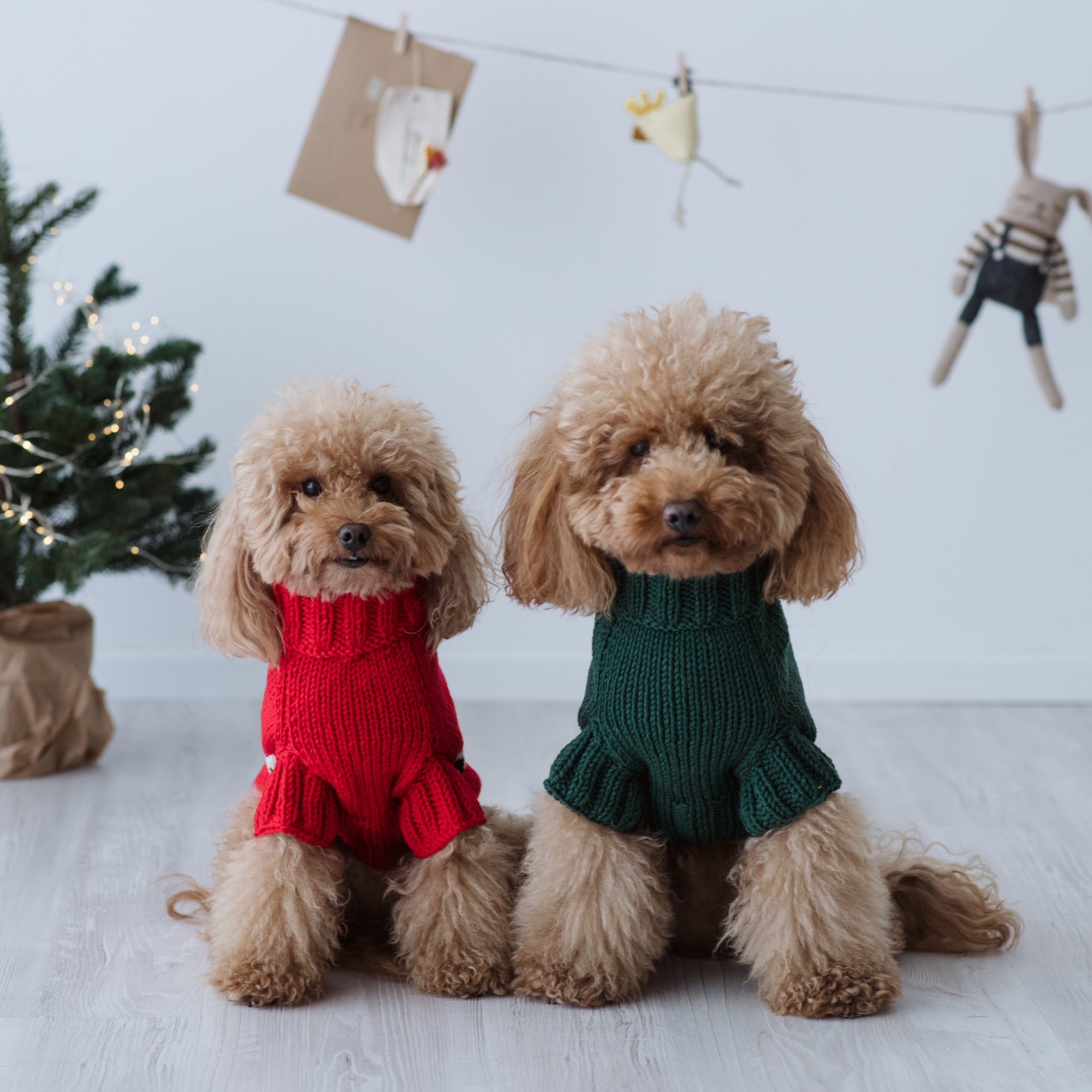 Maglioncino "Pecorelle" Verde | Eccellenza Artigianale in Lana Merino per Cani di Taglia Medio-Piccola
