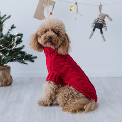 Maglioncino "Red Elegance" a Treccia - Fatto a mano in Lana Merino - per cani di piccola taglia