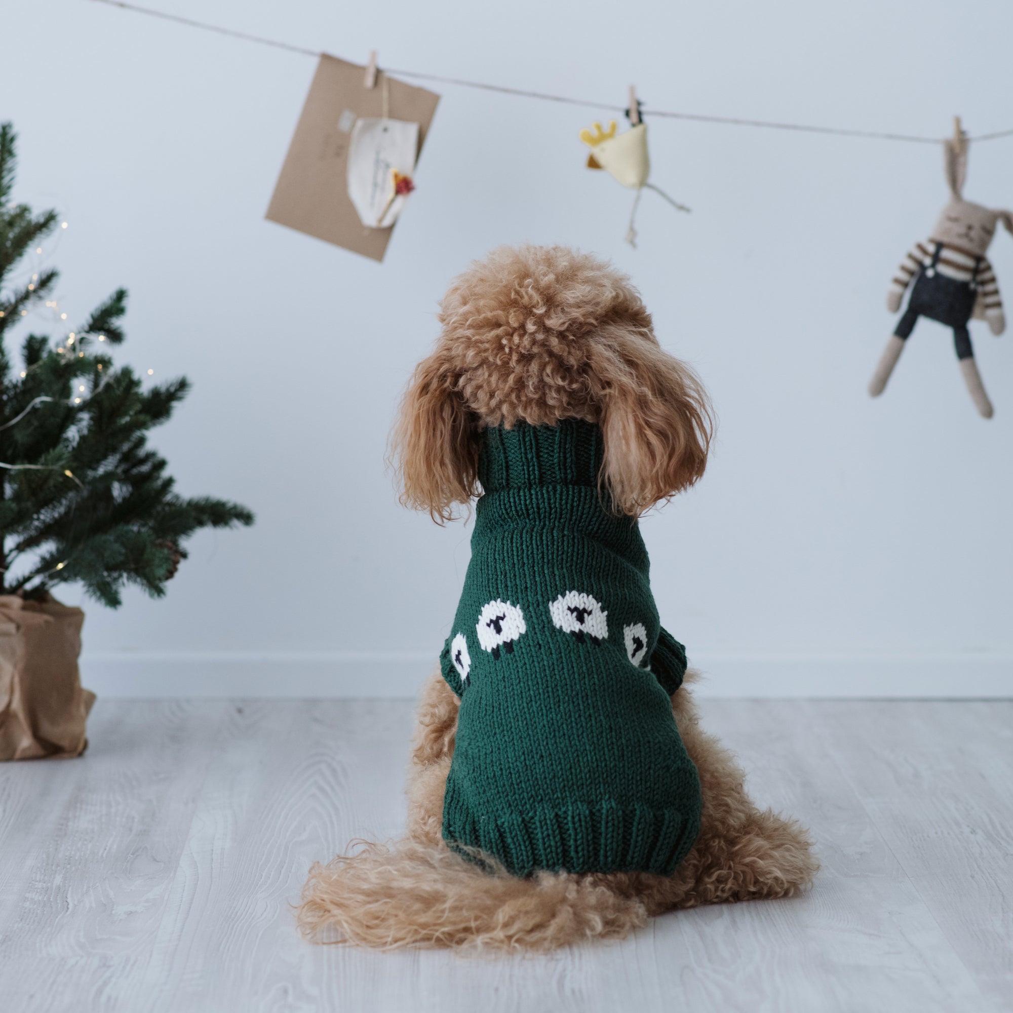 Maglioncino "Pecorelle" Verde | Eccellenza Artigianale in Lana Merino per Cani di Taglia Medio-Piccola