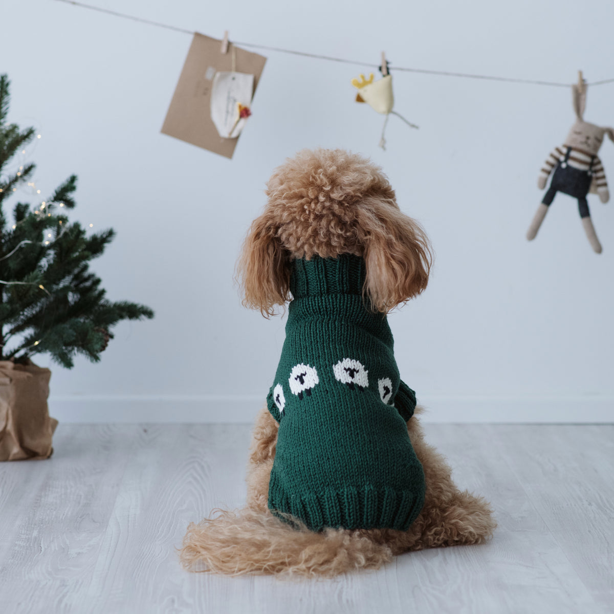 Maglioncino "Pecorelle" Verde | Eccellenza Artigianale in Lana Merino per Cani di Taglia Medio-Piccola