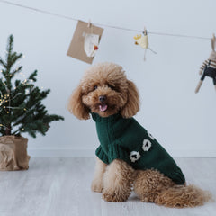 Maglioncino "Pecorelle" Verde | Eccellenza Artigianale in Lana Merino per Cani di Taglia Medio-Piccola