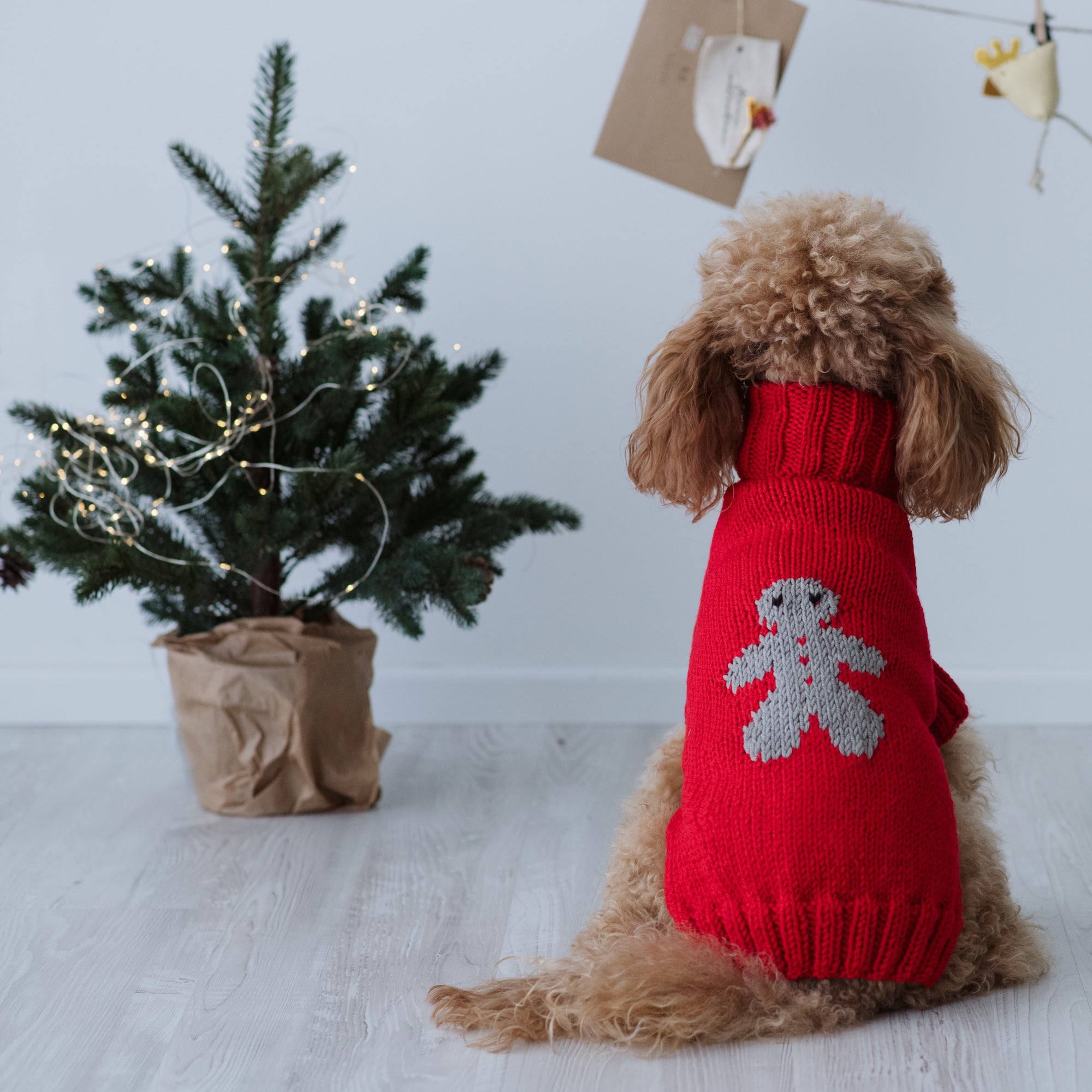 Maglioncino "Mr. Ginger" Rosso | Fatto a mano in Lana Merino per Cani di Taglia Medio-Piccola