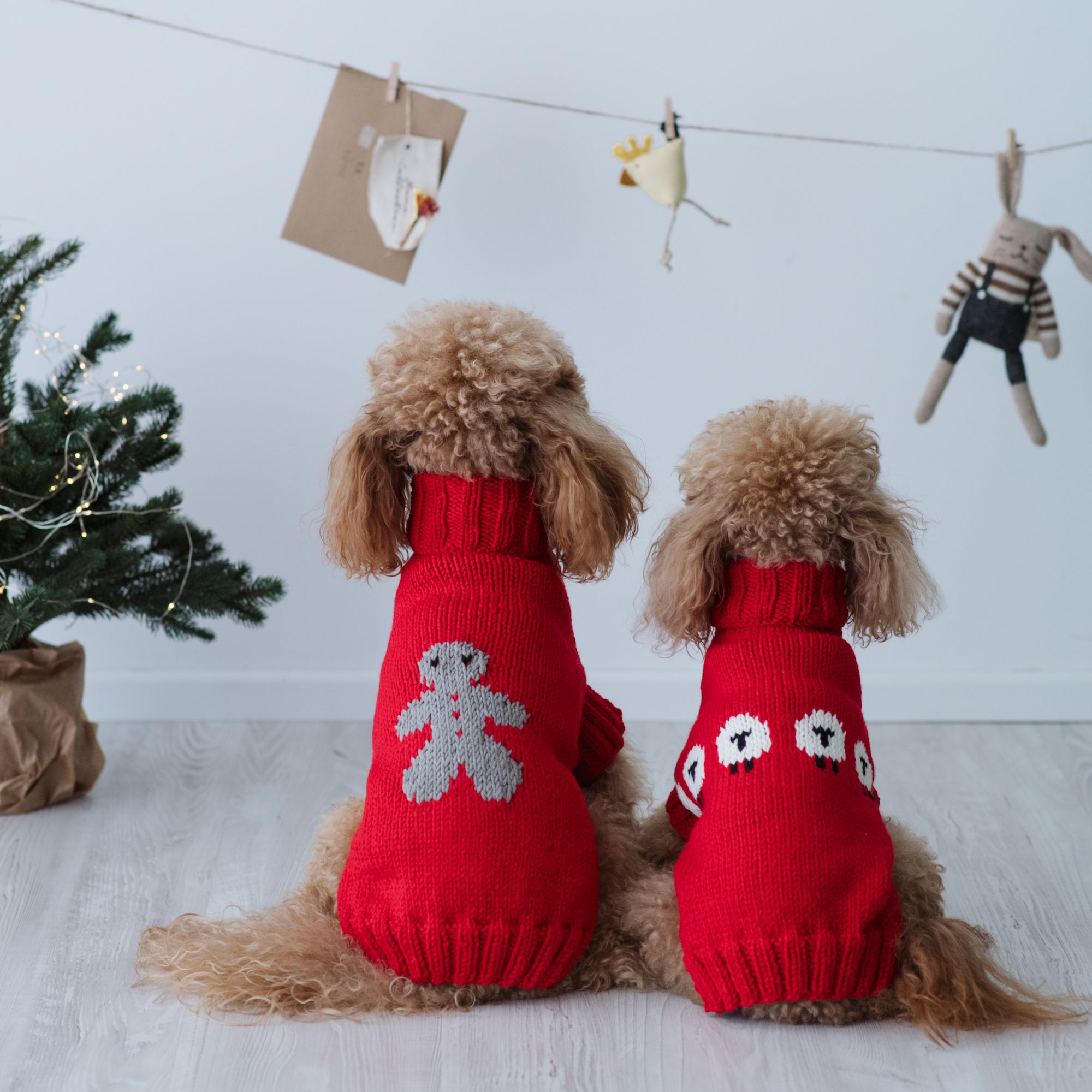 Maglioncino "Mr. Ginger" Rosso | Fatto a mano in Lana Merino per Cani di Taglia Medio-Piccola