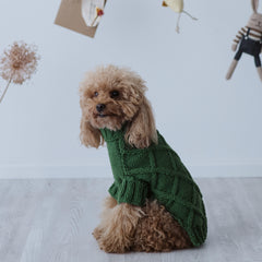 Maglioncino "Cozy Green" Punto Rombi - fatto a mano in Lana Merino - per cani di piccola taglia