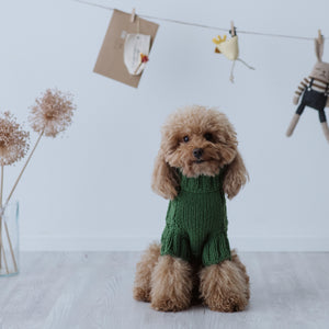 Cozy Green Sweater - Hand Made