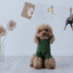 Maglioncino "Cozy Green" Punto Rombi - fatto a mano in Lana Merino - per cani di piccola taglia