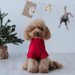 Maglioncino "Classic Red" Fatto a Mano in Lana Merino - per cani di piccola taglia