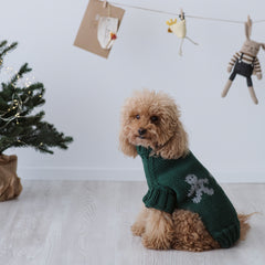 Maglioncino "Mr. Ginger" Verde | Fatto a mano in Lana Merino per Cani di Taglia Medio-Piccola