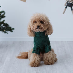 Maglioncino "Mr. Ginger" Verde | Fatto a mano in Lana Merino per Cani di Taglia Medio-Piccola