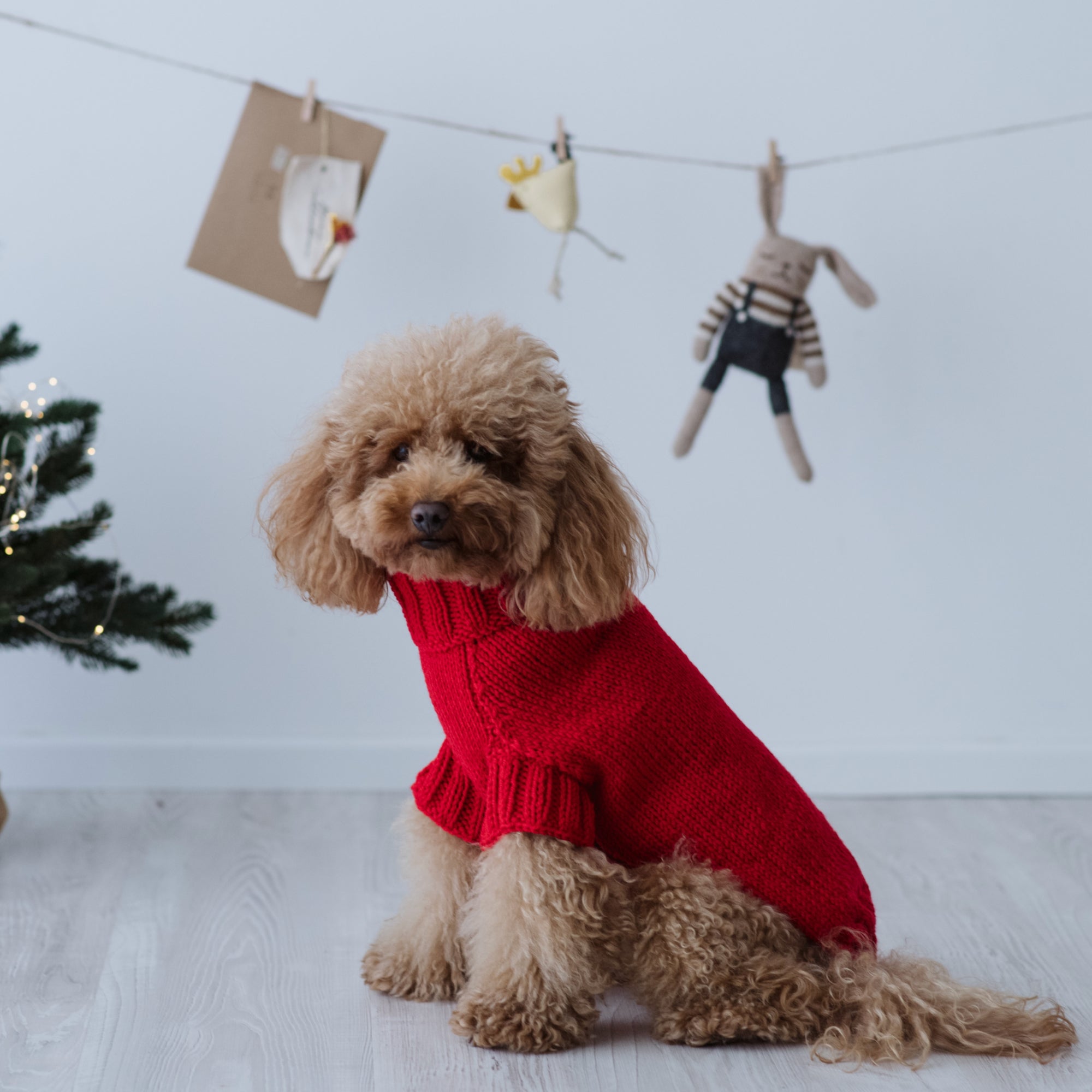 Maglioncino "Classic Red" Fatto a Mano in Lana Merino - per cani di piccola taglia