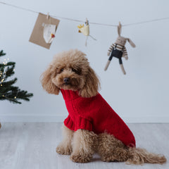 Maglioncino "Classic Red" Fatto a Mano in Lana Merino - per cani di piccola taglia