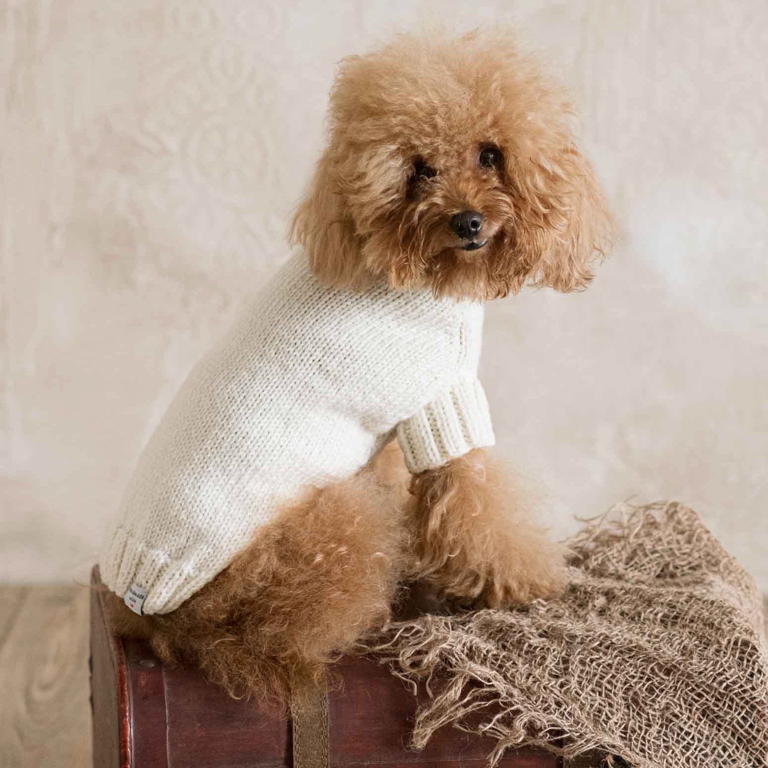 Maglioncino "Dafne" in vari colori - Fatto a Mano in Lana Merino - per cani di piccola taglia