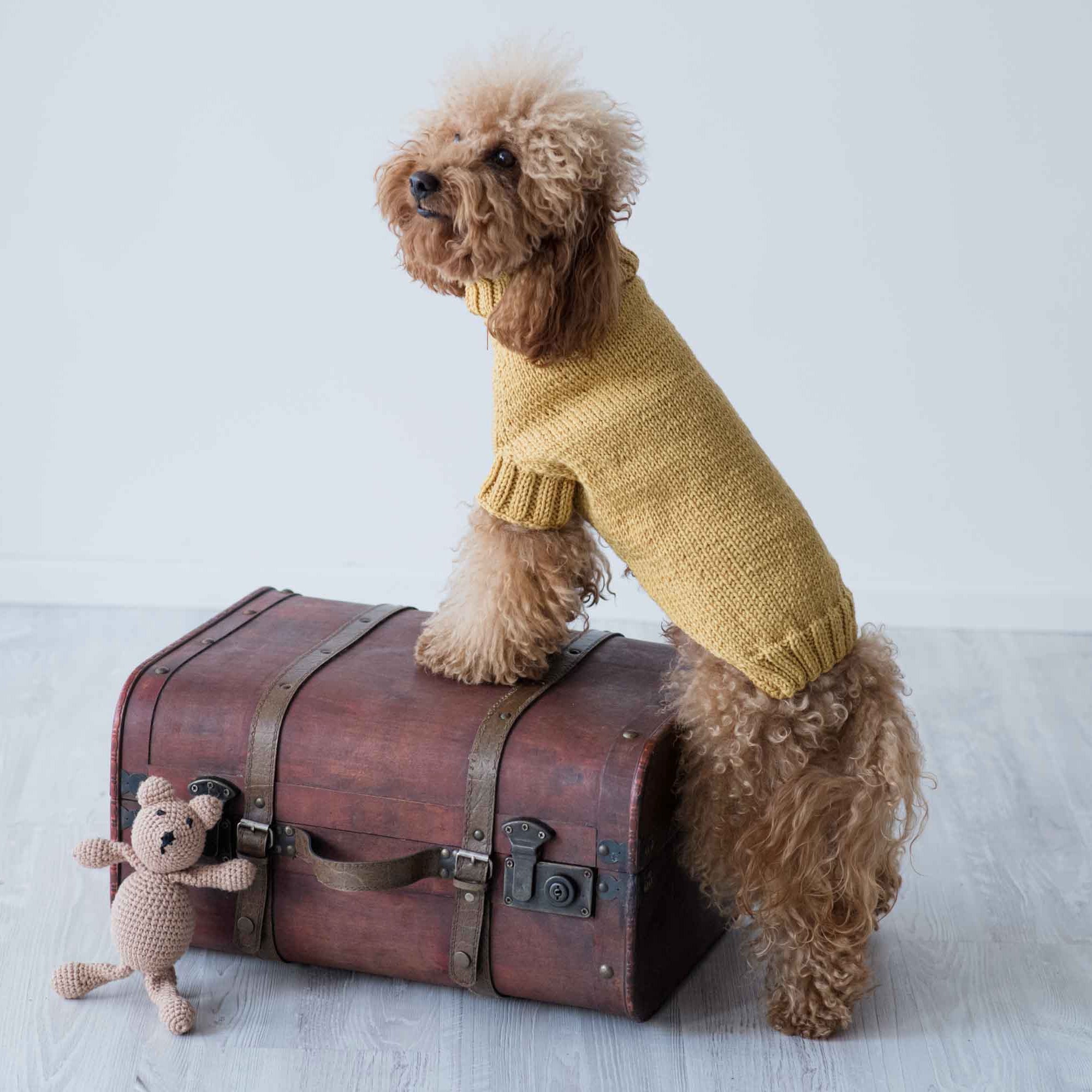 Maglioncino "Dafne" in vari colori - Fatto a Mano in Lana Merino - per cani di piccola taglia