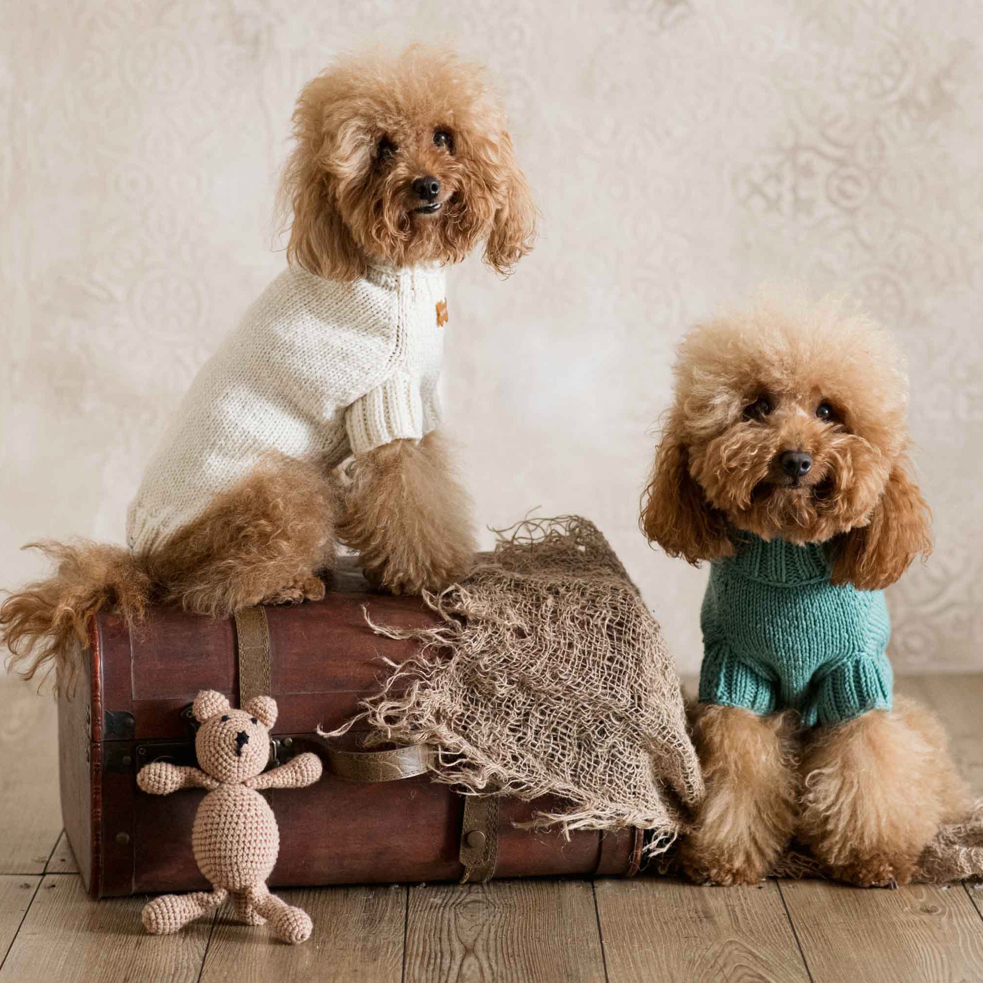 Maglioncino "Dafne" in vari colori - Fatto a Mano in Lana Merino - per cani di piccola taglia