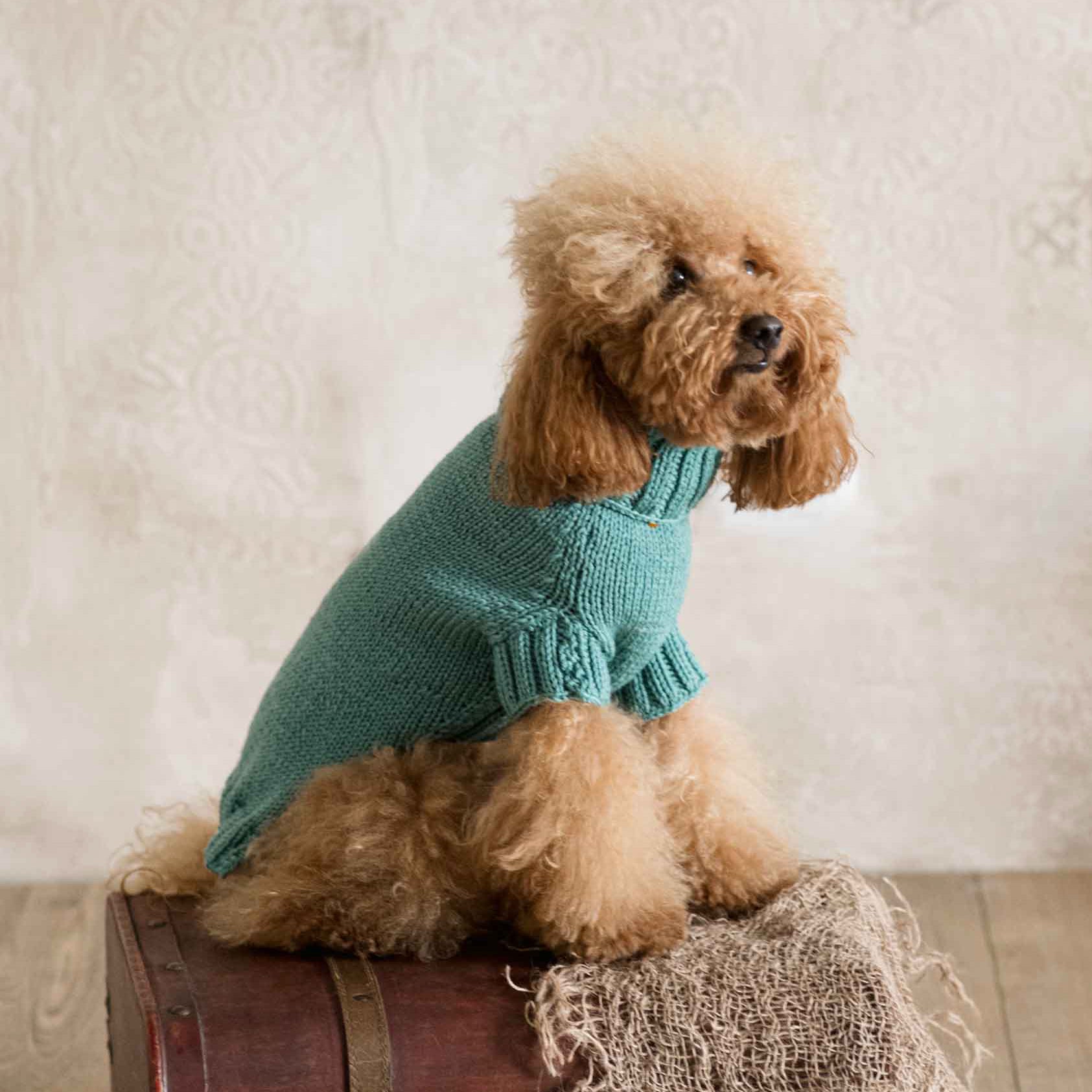 Maglioncino "Dafne" in vari colori - Fatto a Mano in Lana Merino - per cani di piccola taglia