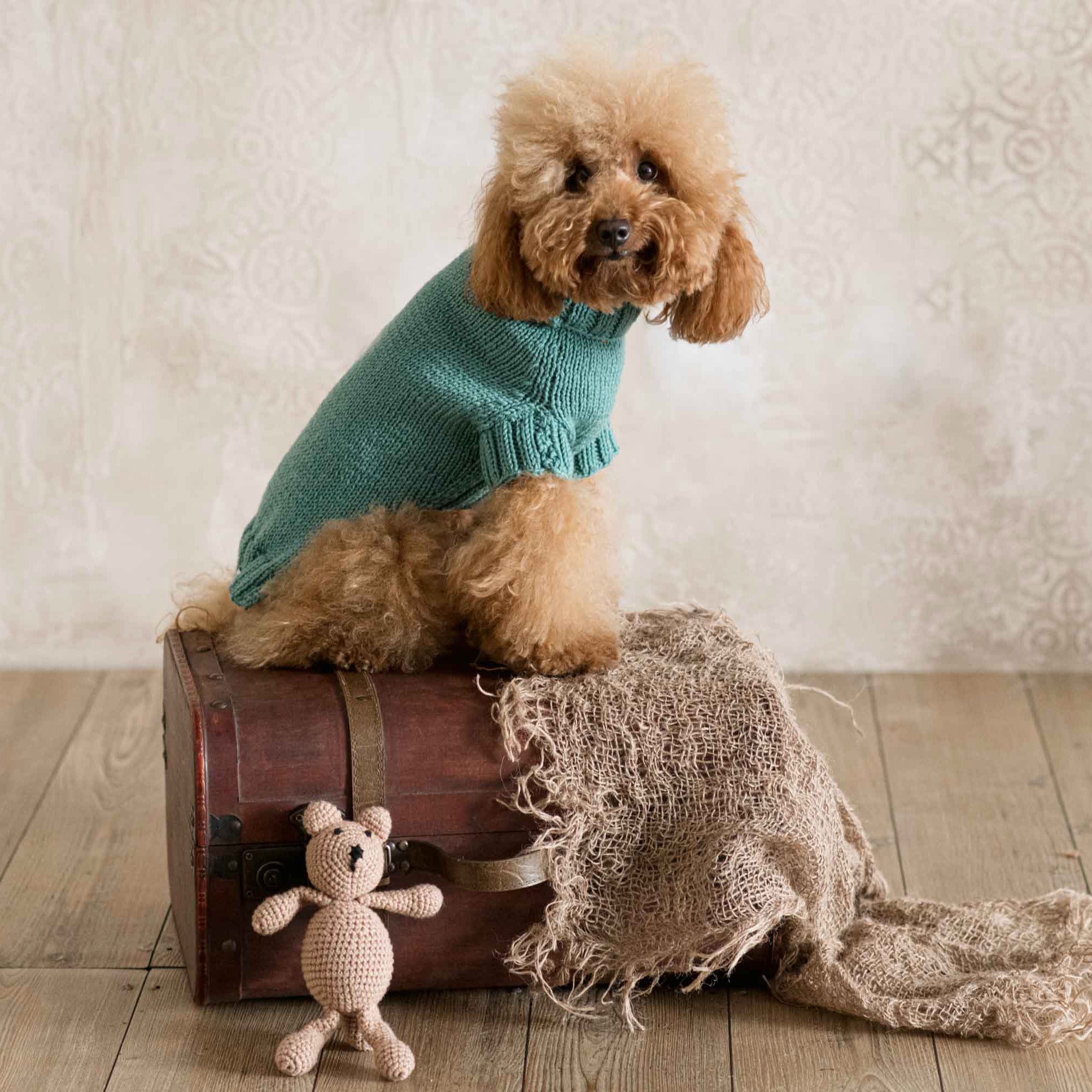 Maglioncino "Dafne" in vari colori - Fatto a Mano in Lana Merino - per cani di piccola taglia