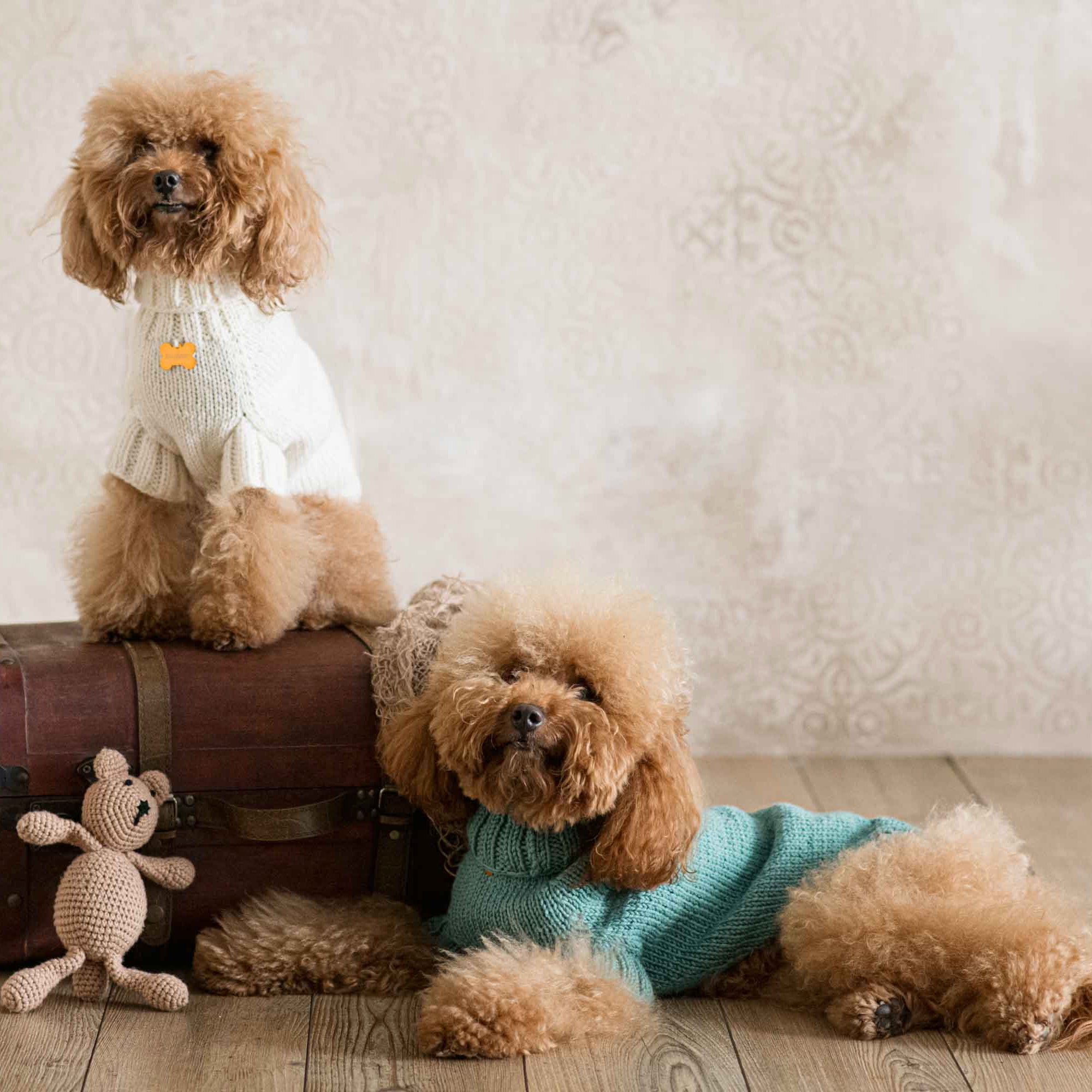 Maglioncino "Dafne" in vari colori - Fatto a Mano in Lana Merino - per cani di piccola taglia