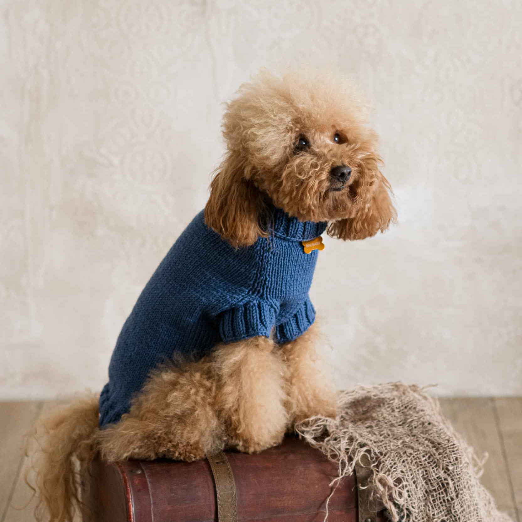 Maglioncino "Dafne" in vari colori - Fatto a Mano in Lana Merino - per cani di piccola taglia