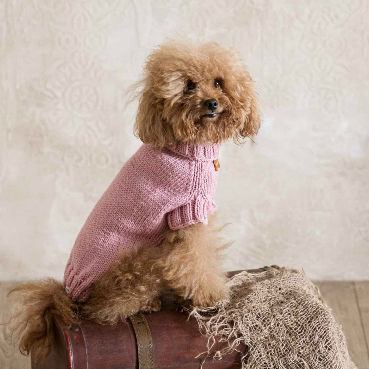 Maglioncino "Dafne" in vari colori - Fatto a Mano in Lana Merino - per cani di piccola taglia