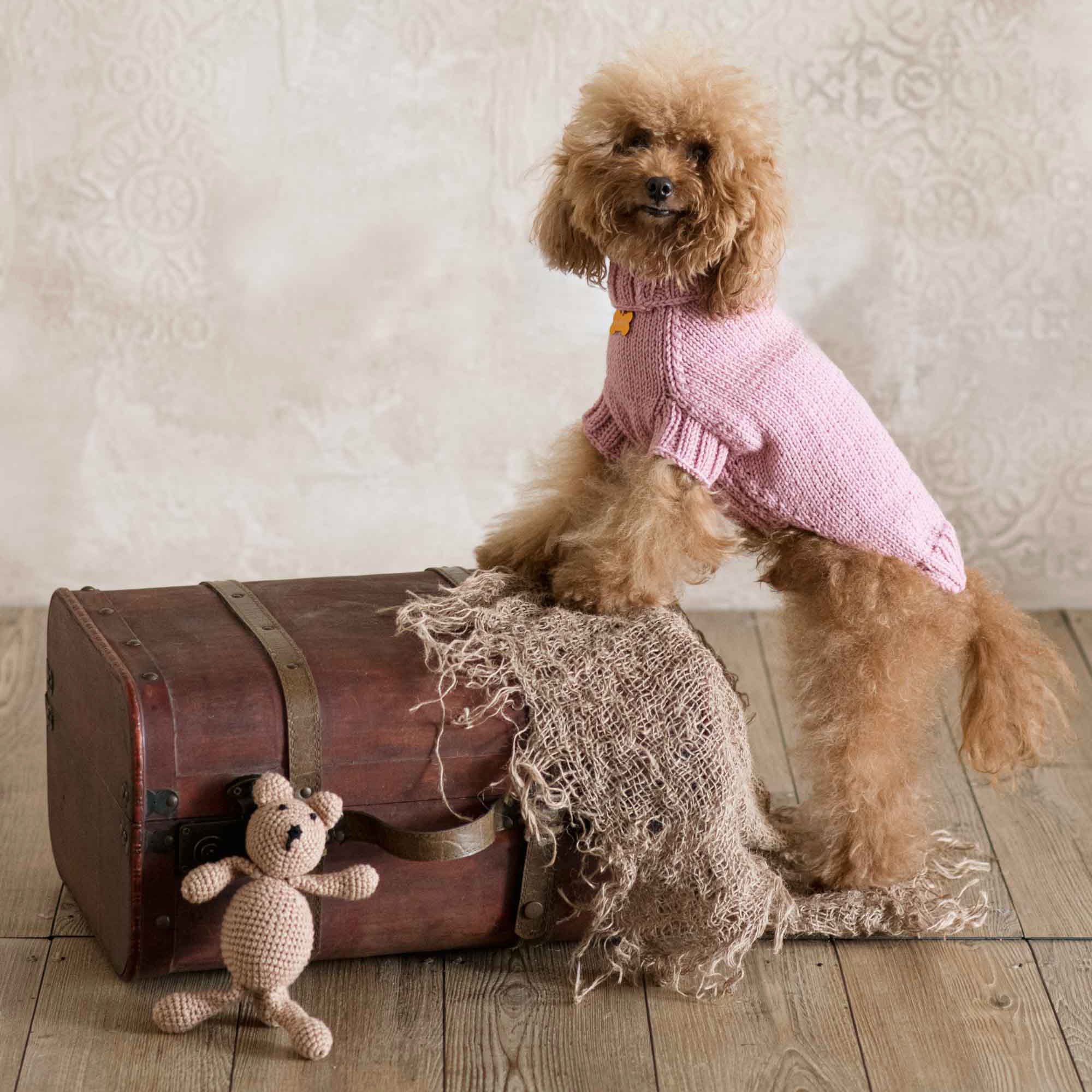 Maglioncino "Dafne" in vari colori - Fatto a Mano in Lana Merino - per cani di piccola taglia
