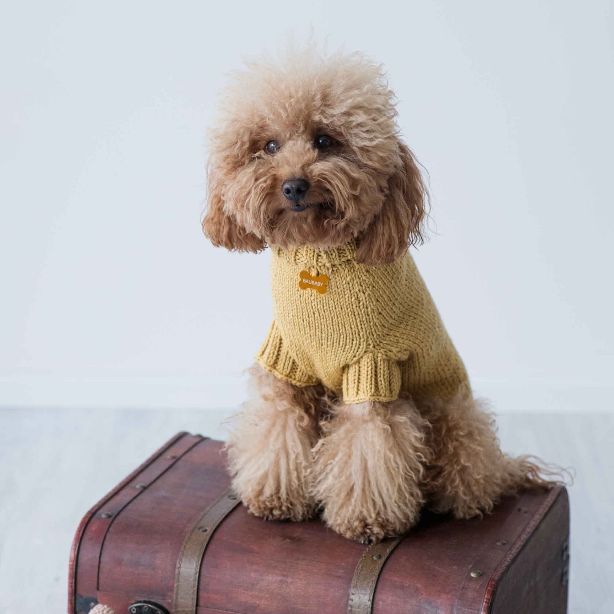 Maglioncino "Dafne" in vari colori - Fatto a Mano in Lana Merino - per cani di piccola taglia