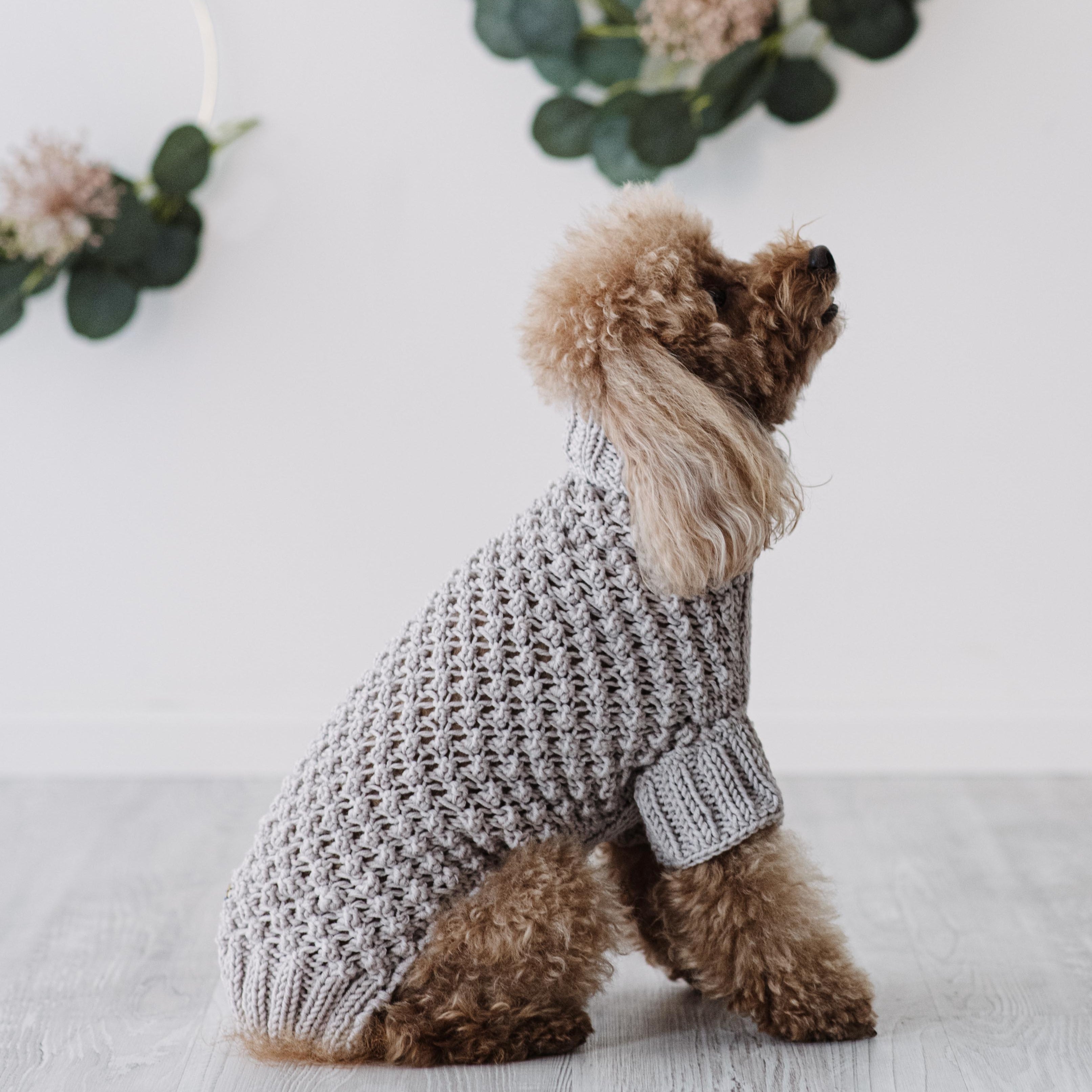 Maglioncino "Baby" Punto Nocciolina - Fatto a Mano in Lana Merino - Rosa, Celeste, Beige - per cani di piccola taglia
