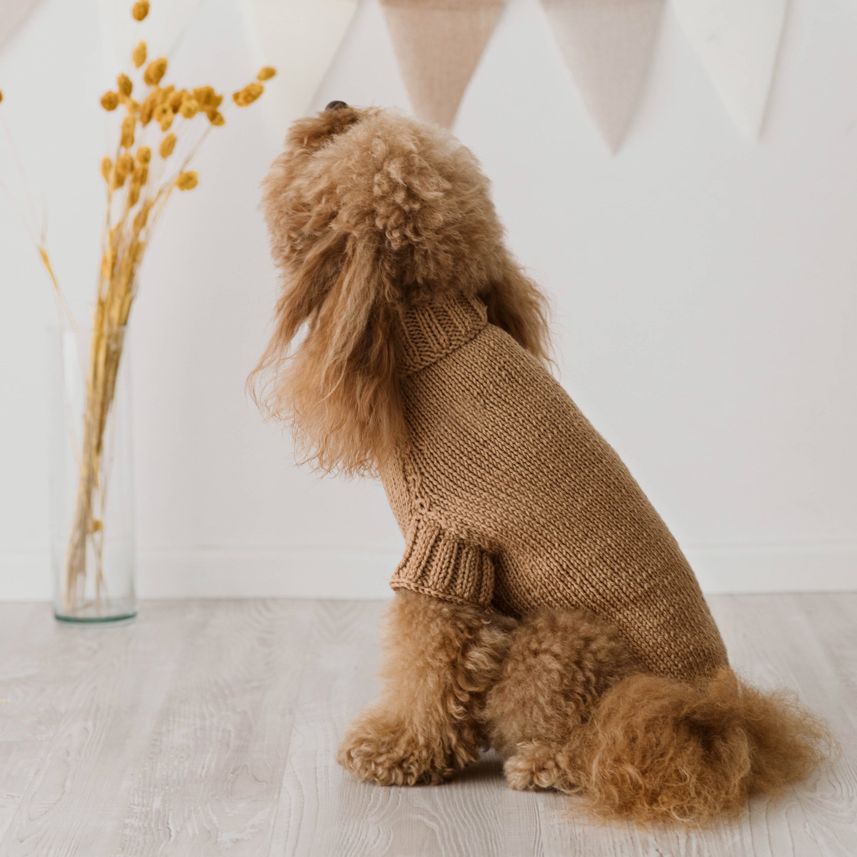 Maglioncino "Dafne" in vari colori - Fatto a Mano in Lana Merino - per cani di piccola taglia