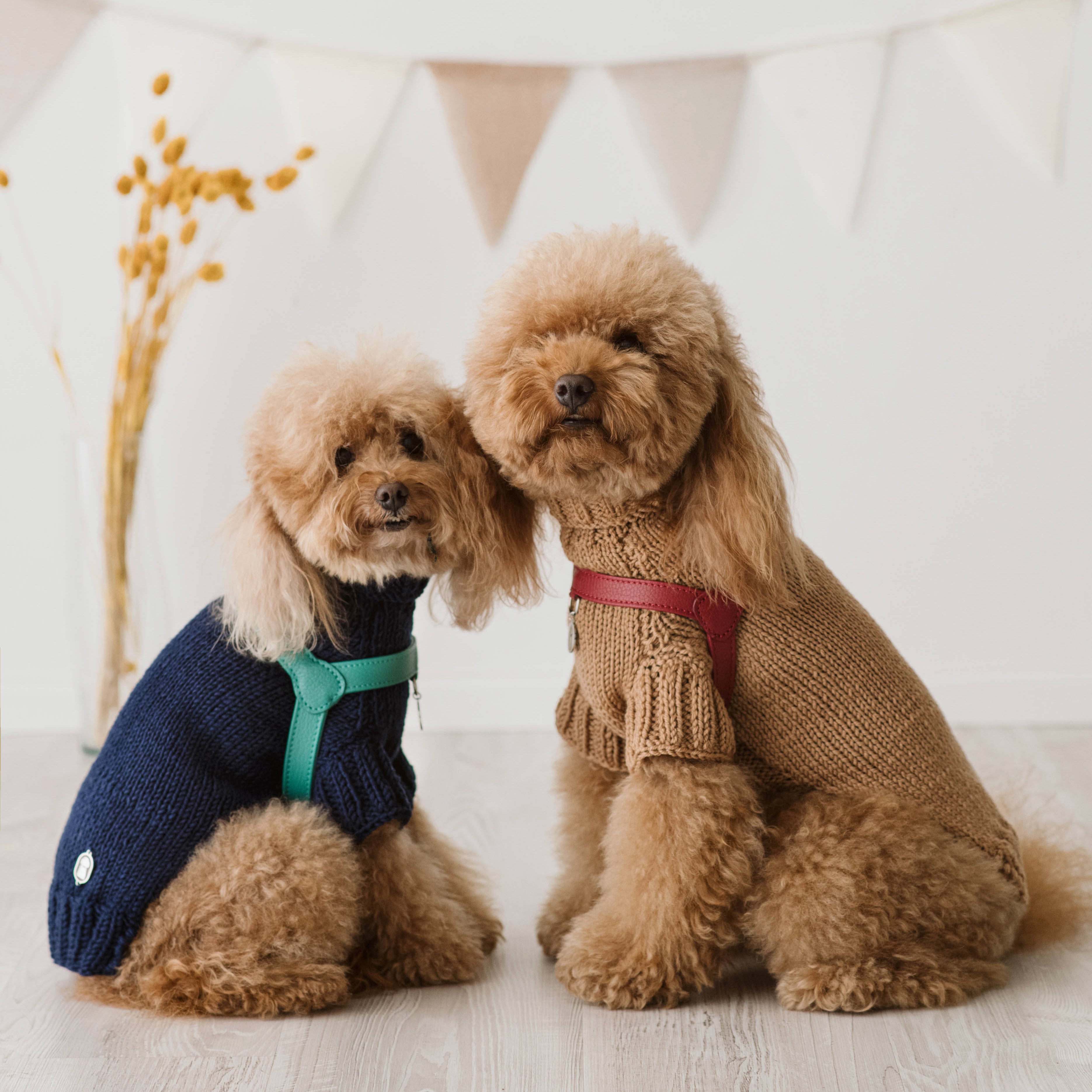 Maglioncino "Dafne" in vari colori - Fatto a Mano in Lana Merino - per cani di piccola taglia