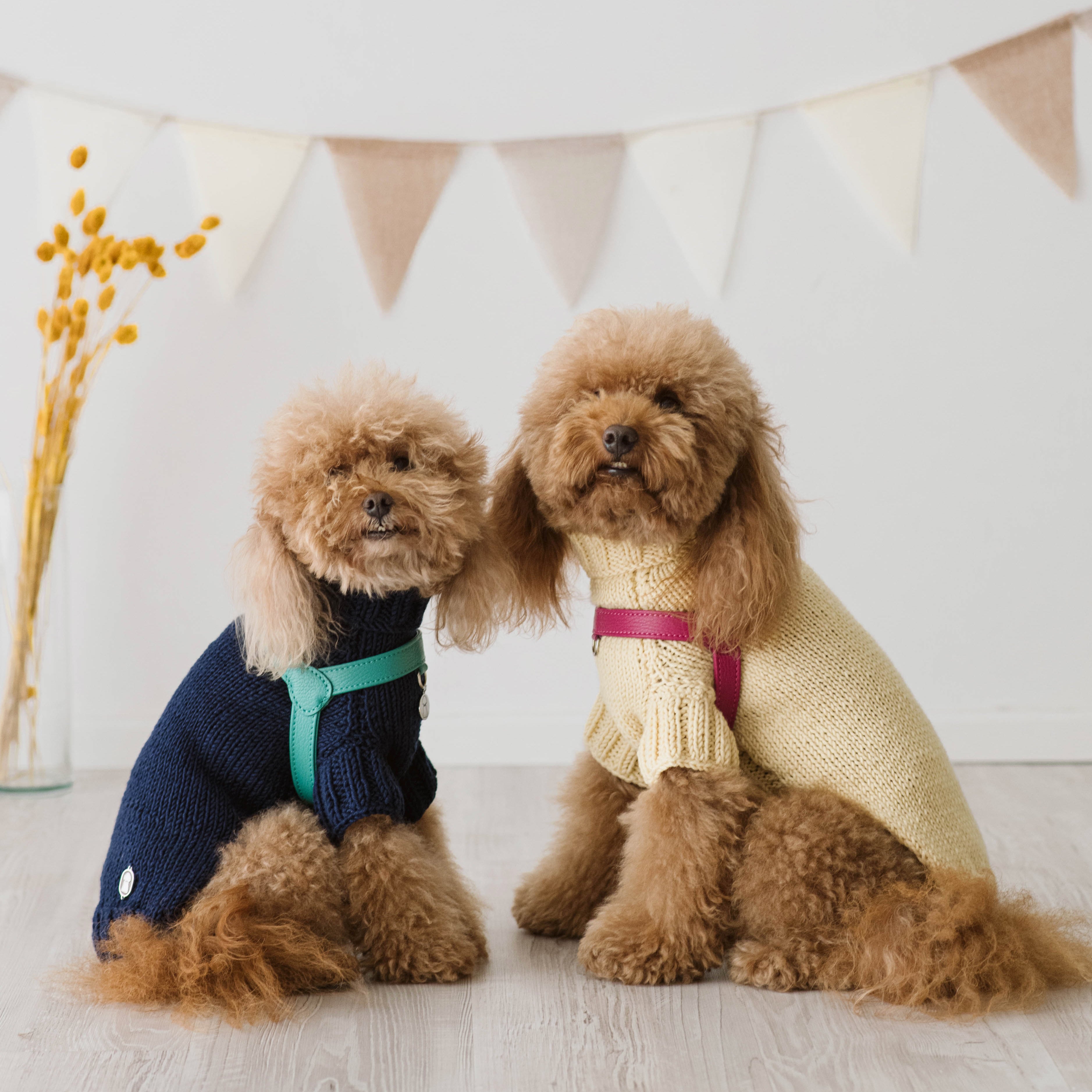 Maglioncino "Dafne" in vari colori - Fatto a Mano in Lana Merino - per cani di piccola taglia