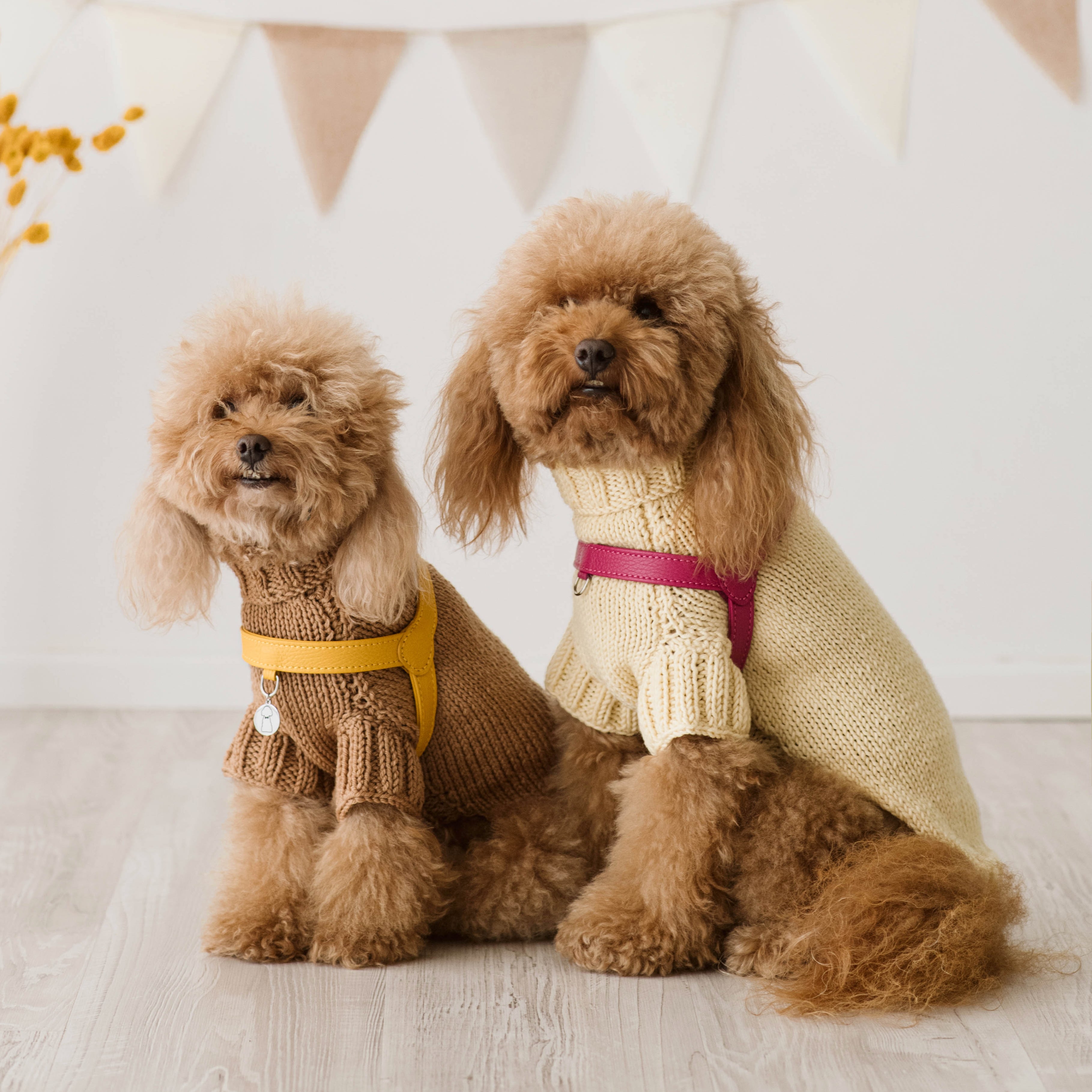 Maglioncino "Dafne" in vari colori - Fatto a Mano in Lana Merino - per cani di piccola taglia