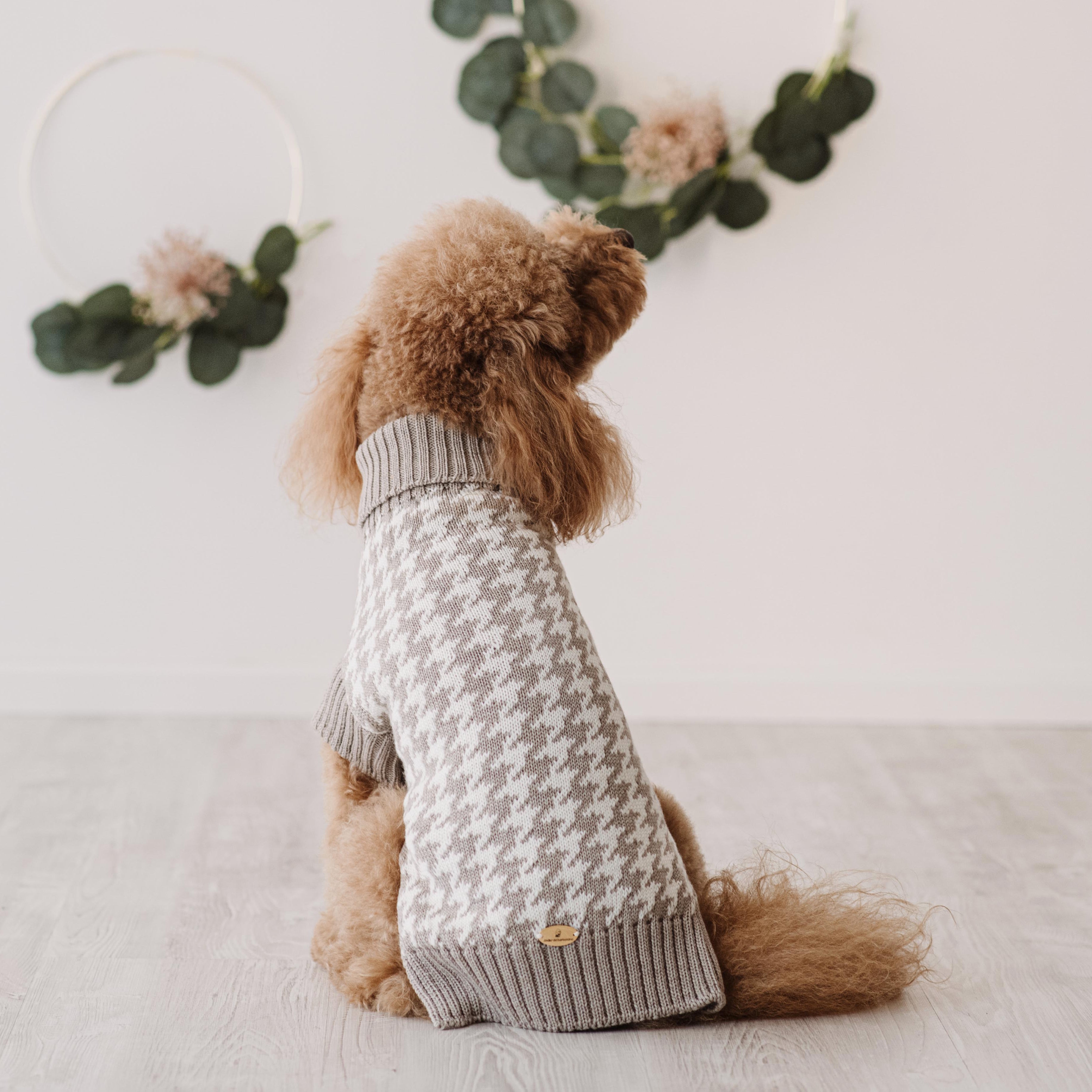 Maglioncino "Coco" | Rosa, Grigio, Cammello, Viola | Pied de Poule  in Lana Merino - per cani di piccola taglia