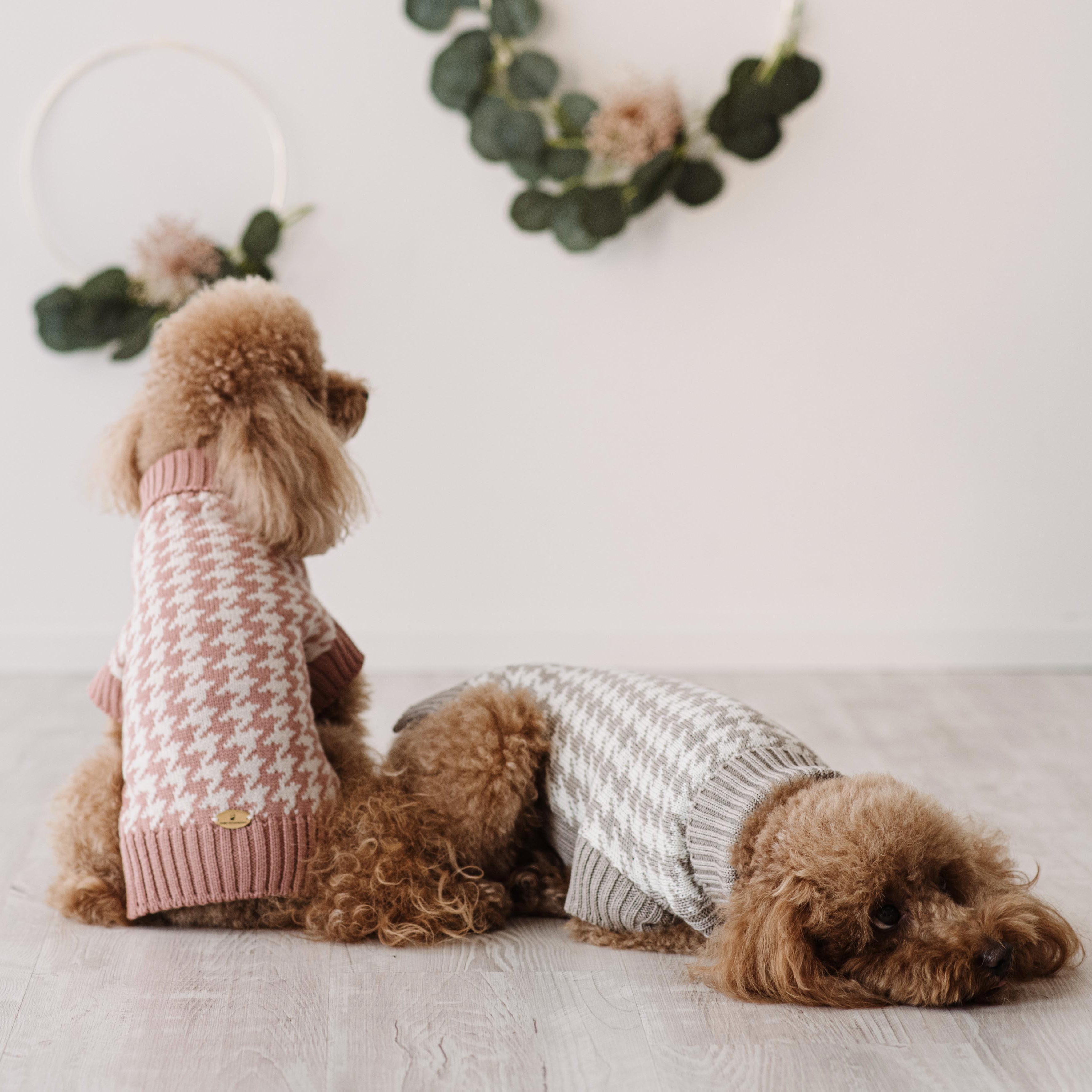 Maglioncino "Coco" | Rosa, Grigio, Cammello, Viola | Pied de Poule  in Lana Merino - per cani di piccola taglia