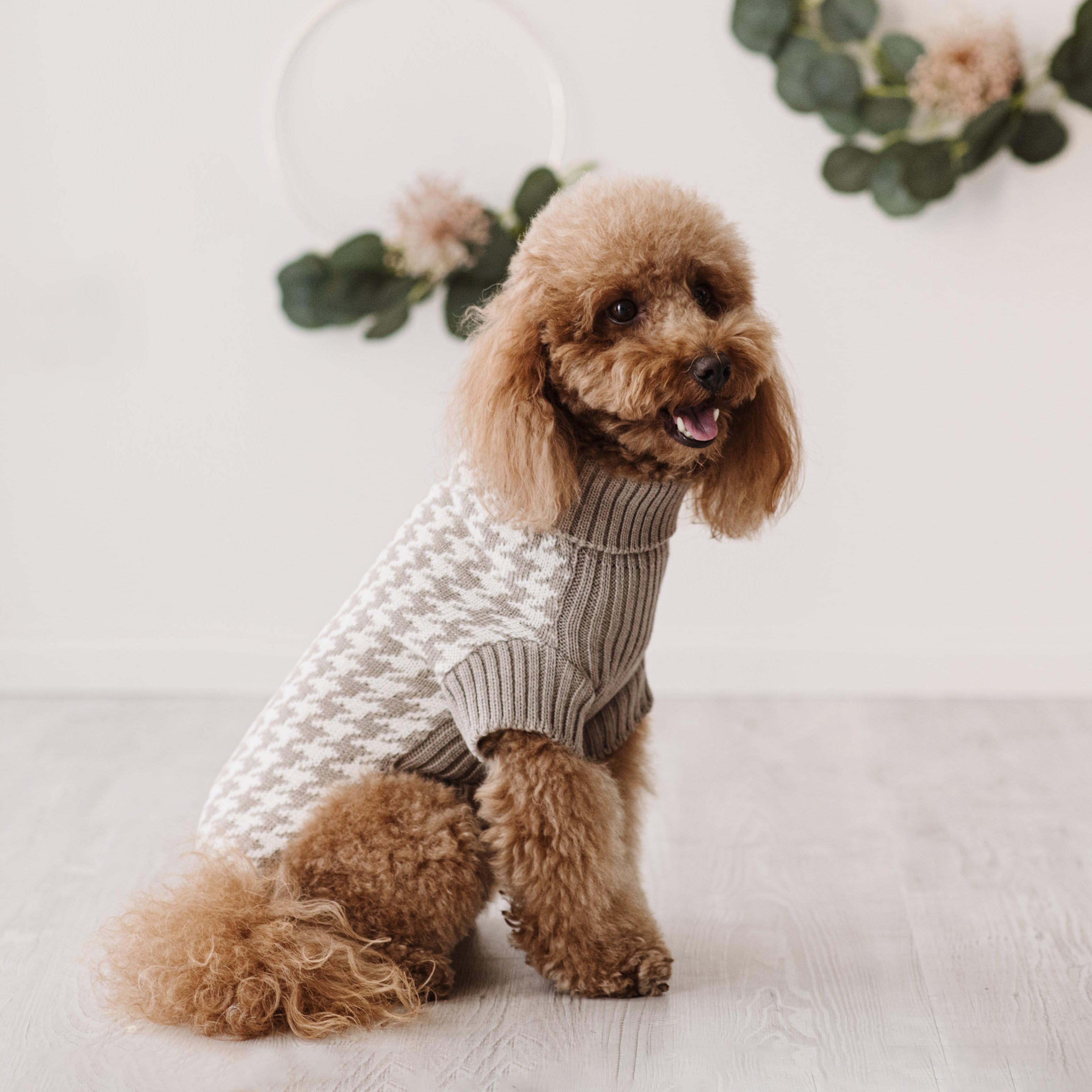 Maglioncino "Coco" | Rosa, Grigio, Cammello, Viola | Pied de Poule  in Lana Merino - per cani di piccola taglia