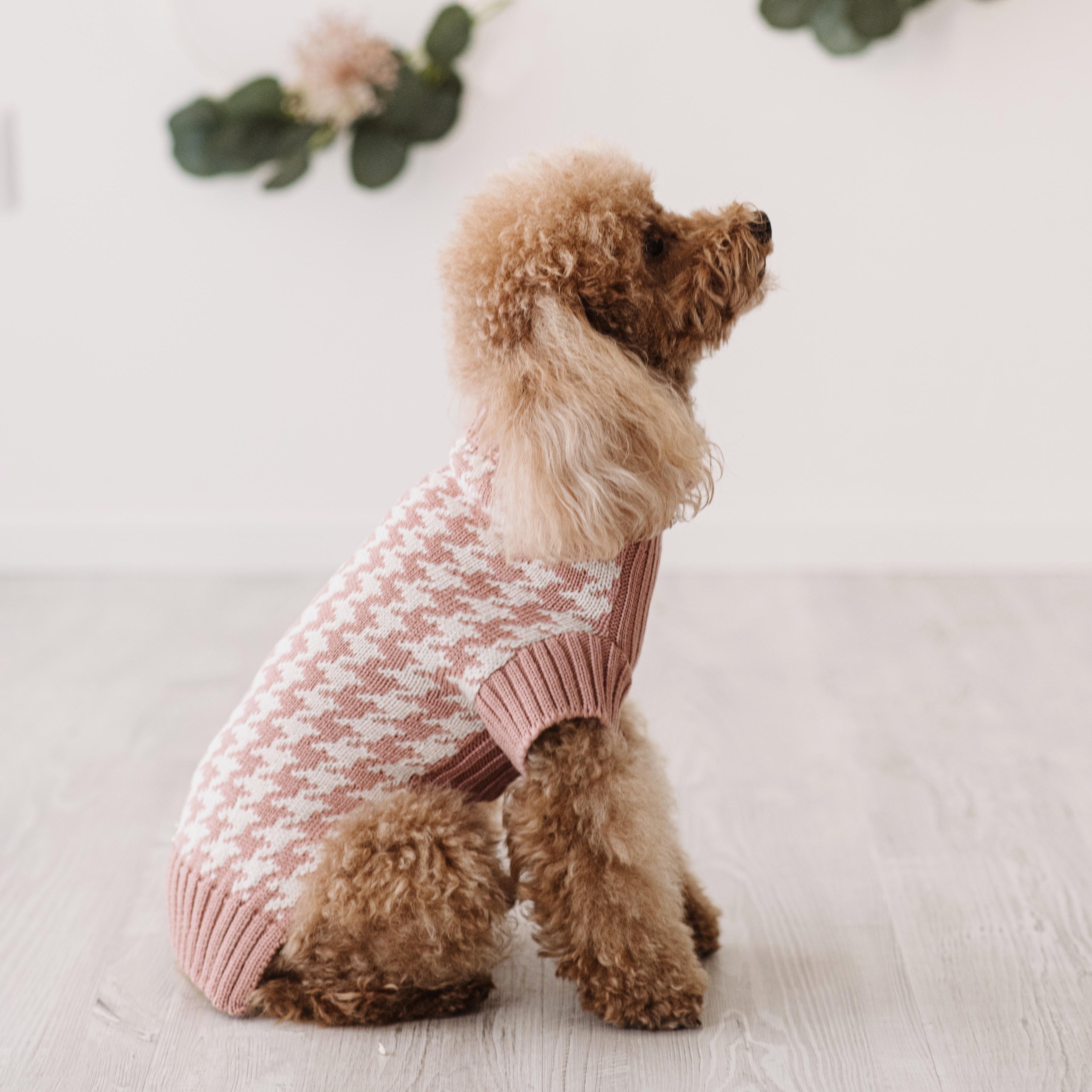 Maglioncino "Coco" | Rosa, Grigio, Cammello, Viola | Pied de Poule  in Lana Merino - per cani di piccola taglia