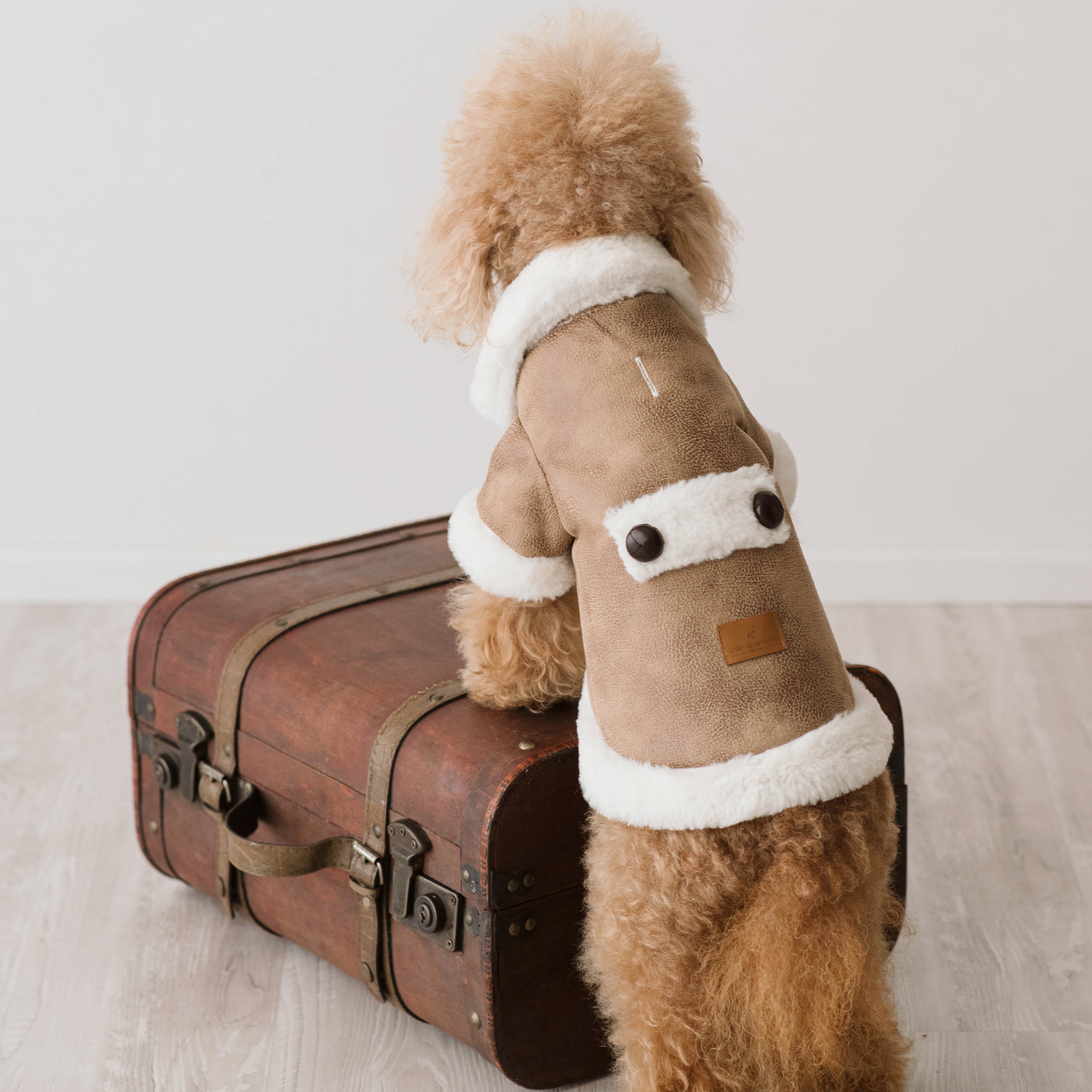 Montoncino Paddington| Stile Ecologico per Barboncini